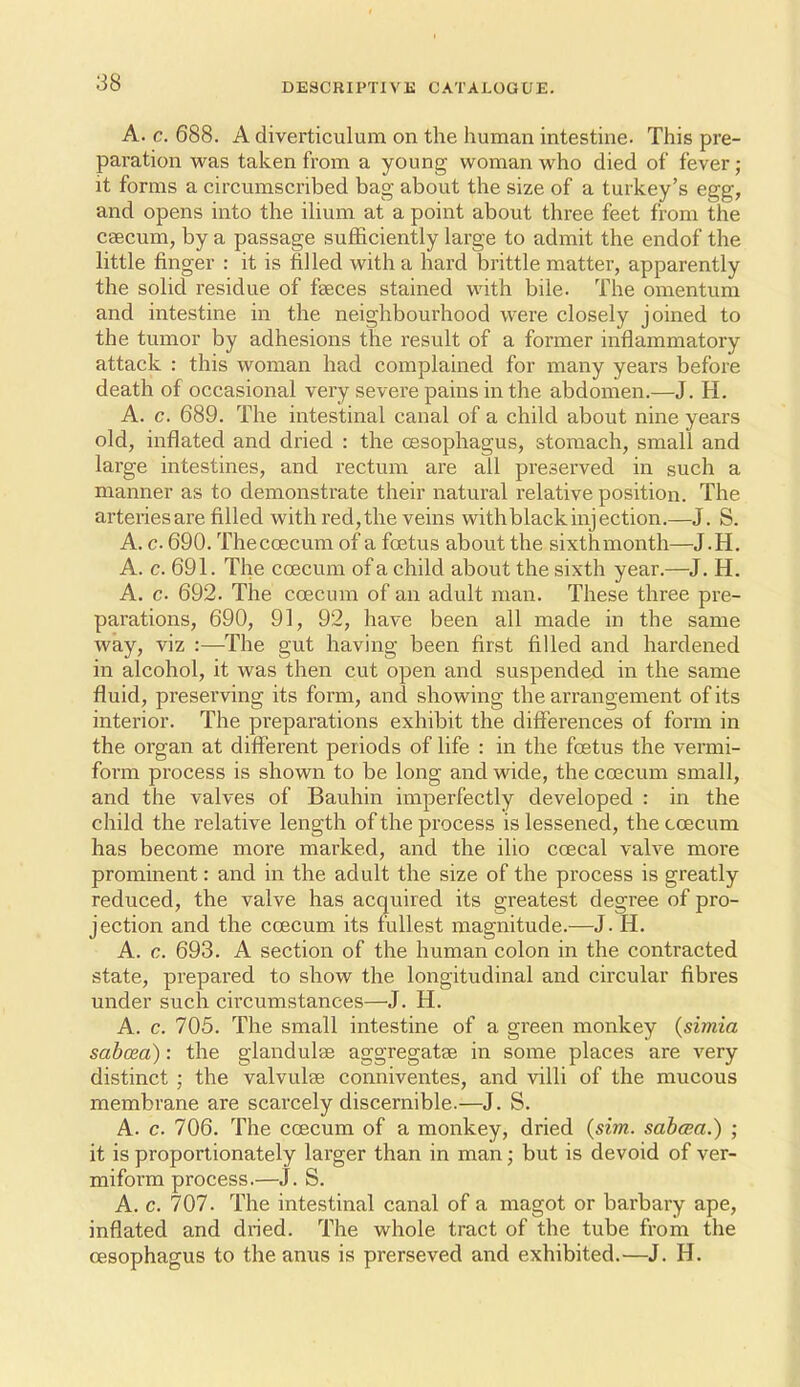 A. c. 688. A diverticulum on the human intestine. This pre- paration was taken from a young woman who died of fever; it forms a circumscribed bag about the size of a turkey's egg, and opens into the ihum at a point about three feet from the caecum, by a passage sufficiently large to admit the endof the little finger : it is filled with a hard brittle matter, apparently the solid residue of faeces stained with bile. The omentum and intestine in the neighbourhood were closely joined to the tumor by adhesions the result of a former inflammatory attack : this woman had complained for many years before death of occasional very severe pains in the abdomen.—J. H. A. c. 689. The intestinal canal of a child about nine years old, inflated and dried : the CBSophagus, stomach, small and large intestines, and rectum are all preserved in such a manner as to demonstrate their natural relative position. The arteries are filled with red,the veins withblackinjection,—J. S. A. c. 690. Thecoecum of a foetus about the sixthmonth—J.H. A. c. 691. The coecum of a child about the sixth year.—J. H. A. c. 692. The coecum of an adult man. These three pre- parations, 690, 91, 92, have been all made in the same way, viz :—The gut having been first filled and hardened in alcohol, it was then cut open and suspended in the same fluid, preserving its form, and showing the arrangement of its interior. The preparations exhibit the differences of form in the organ at different periods of life : in the fcetus the vermi- foT'm process is shown to be long and wide, the coecum small, and the valves of Bauhin imperfectly developed : in the child the relative length of the process is lessened, the coecum has become more marked, and the ilio coecal valve more prominent: and in the adult the size of the process is greatly reduced, the valve has acquired its greatest degree of pro- jection and the coecum its fullest magnitude.—J. H. A. c. 693. A section of the human colon in the contracted state, prepared to show the longitudinal and circular fibres under such circumstances—J. H. A. c. 705. The small intestine of a green monkey {simia sabcea): the glandulse aggregatse in some places are very distinct ; the valvulse conniventes, and villi of the mucous membrane are scarcely discernible.—J. S. A. c. 706. The coecum of a monkey, dried {sim. sabcsa.) ; it is proportionately larger than in man; but is devoid of ver- miform process.—J. S. A. c. 707. The intestinal canal of a magot or barbary ape, inflated and dried. The whole tract of the tube from the CESophagus to the anus is prerseved and exhibited.—J. H.