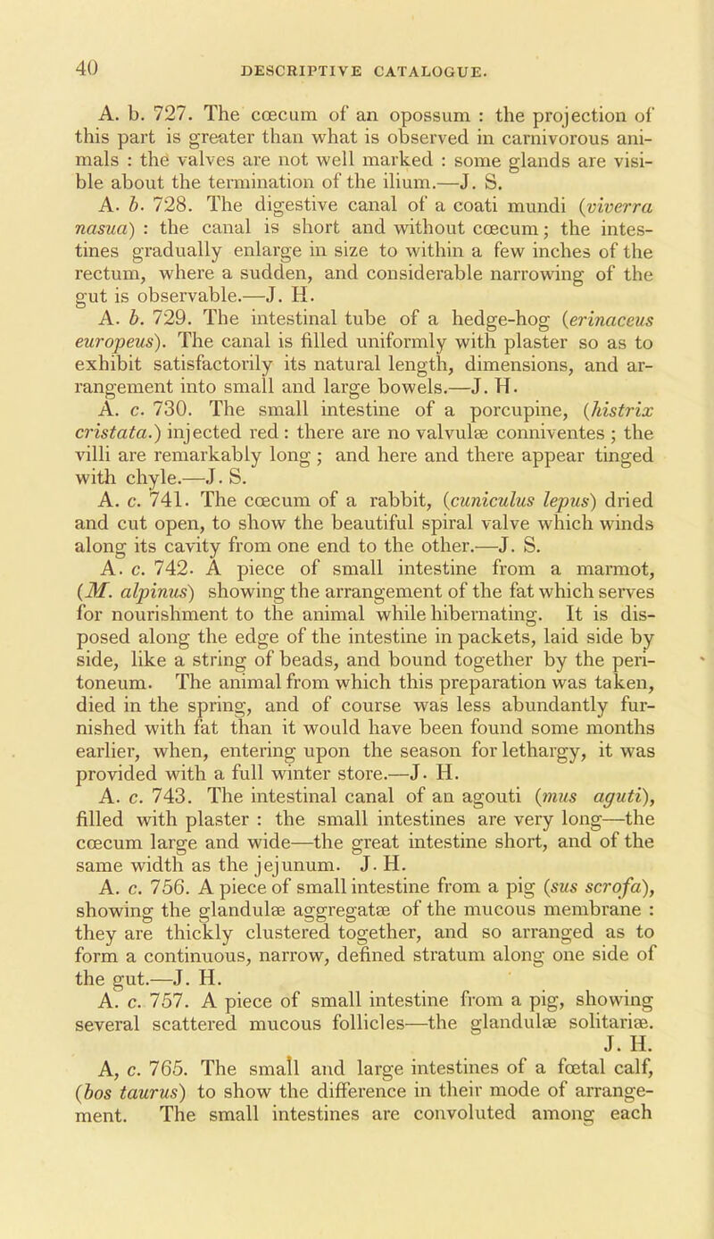 A. b. 727. The coecum of an opossum : the projection of this part is greater than what is observed in carnivorous ani- mals : the valves are not well marked : some glands are visi- ble about the termination of the ilium.—J. S. A. h- 728. The digestive canal of a coati mundi (viverra nasua) : the canal is short and without coecum; the intes- tines gradually enlarge in size to within a few inches of the rectum, where a sudden, and considerable narrowing of the gut is observable.—J. H. A. b. 729. The intestinal tube of a hedge-hog {erinaceus europeus). The canal is filled uniformly with plaster so as to exhibit satisfactorily its natural length, dimensions, and ar- rangement into small and large bowels.—J. H. A. c. 730. The small intestine of a porcupine, {histrix cristata.) injected red : there are no valvulae conniventes ; the villi are remarkably long ; and here and there appear tinged with chyle.—J. S. A. c. 741. The coecum of a rabbit, {cuniculus lepus) dried and cut open, to show the beautiful spiral valve which winds along its cavity from one end to the other.—J. S. A. c. 742. A piece of small intestine from a marmot, (M. alpinus) showing the arrangement of the fat which sei'ves for nourishment to the animal while hibernatino;. It is dis- posed along the edge of the intestine in packets, laid side by side, like a string of beads, and bound together by the peri- toneum. The animal from which this preparation was taken, died in the spring, and of course was less abundantly fur- nished with fat than it would have been found some months earlier, when, entering upon the season for lethargy, it was provided with a full winter store.—J. H. A. c. 743. The intestinal canal of an agouti {mus aguti), filled with plaster : the small intestines are very long—the coecum large and wide—the great intestine short, and of the same width as the jejunum. J. H. A. c. 756. A piece of small intestine from a pig (sms scrofa), showing the glandulae aggregates of the mucous membrane : they are thickly clustered together, and so arranged as to form a continuous, narrow, defined stratum along one side of the gut.—J. H. A. c. 757. A piece of small intestine from a pig, showing several scattered mucous follicles—the glandulae solitariae. J. H. A, c. 765. The small and large intestines of a foetal calf, (bos taurus) to show the difference in their mode of arrange- ment. The small intestines are convoluted among each