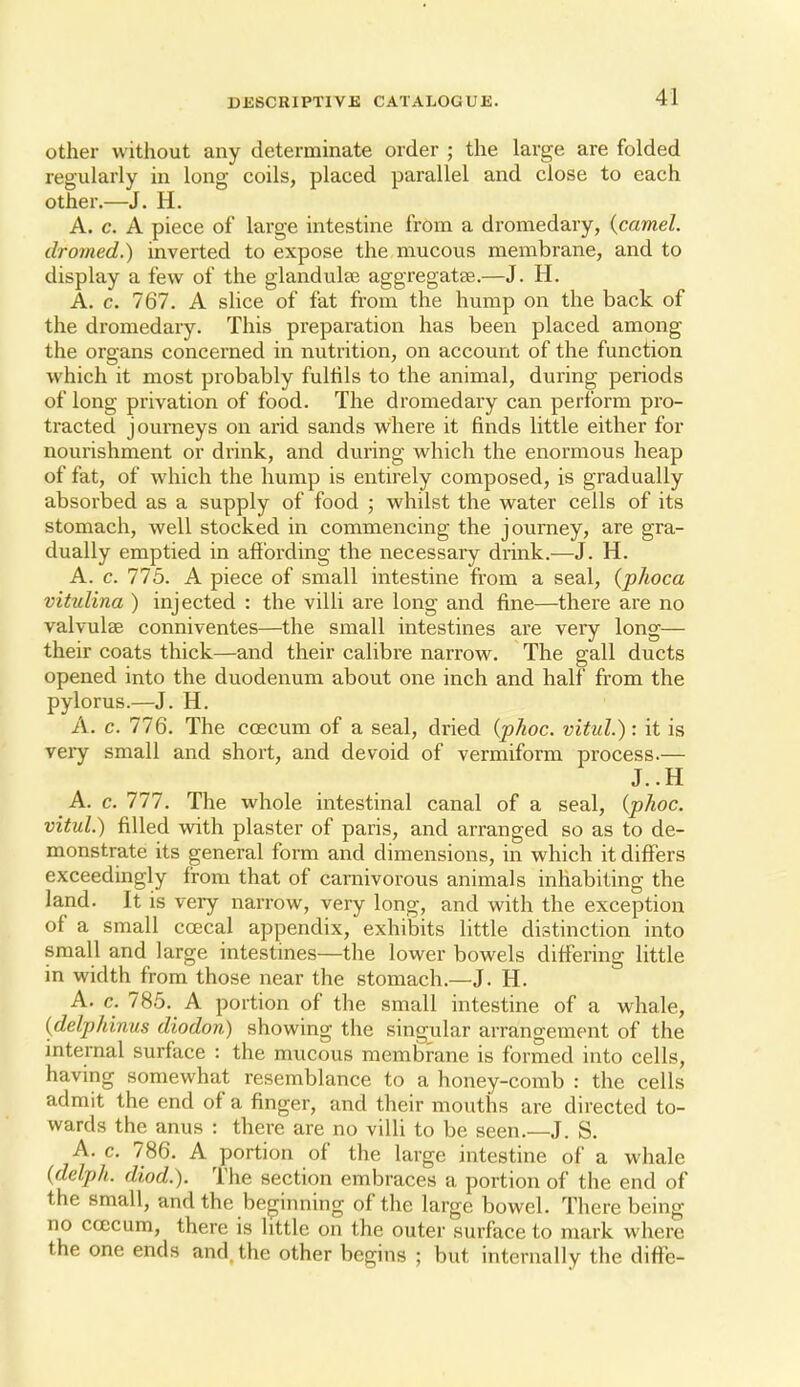 other without any determinate order ; the large are folded regularly in long coils, placed parallel and close to each other.—J. H. A. c. A piece of large intestine from a dromedary, {camel, dromed.) inverted to expose the mucous membrane, and to display a few of the glandulaj aggregatse.—J. H. A. c. 767. A slice of fat from the hump on the back of the dromedary. This preparation has been placed among the organs concerned in nutrition, on account of the function which it most probably fullils to the animal, during periods of long privation of food. The dromedary can perform pro- tracted journeys on arid sands where it finds little either for nourishment or drink, and during which the enormous heap of fat, of which the hump is entirely composed, is gradually absorbed as a supply of food ; whilst the water cells of its stomach, well stocked in commencing the journey, are gra- dually emptied in affording the necessary drink.—J. H. A. c. 775. A piece of small intestine from a seal, (pkoca vitulina ) injected : the villi are long and fine—there are no valvulse conniventes—the small intestines are very long— their coats thick—and their calibre narrow. The gall ducts opened into the duodenum about one inch and half from the pylorus.—J. H. A. c. 776. The coecum of a seal, dried {phoc. vituL): it is very small and short, and devoid of vermiform process.— J..H A. c. 777. The whole intestinal canal of a seal, {phoc. vitul.) filled with plaster of paris, and arranged so as to de- monstrate its general form and dimensions, in which it differs exceedingly from that of carnivorous animals inhabiting the land. It is very narrow, very long, and with the exception of a small coecal appendix, exhibits little distinction into small and large intestines—the lower bowels differing little in width from those near the stomach.—J. H. A. c. 785. A portion of the small intestine of a whale, {delphinus diodon) showing the singular arrangement of the mternal surface : the mucous membrane is formed into cells, having somewhat resemblance to a honey-comb : the cells admit the end of a finger, and their mouths are directed to- wards the anus : there are no villi to be seen.—J. S. A. c. 786. A portion of the large intestine of a whale {delph. diod.). The section embraces a portion of the end of the small, and the beginning of the large bowel. There being no coecum, there is little on the outer surface to mark where the one ends and. the other begins ; but internally the difFe-