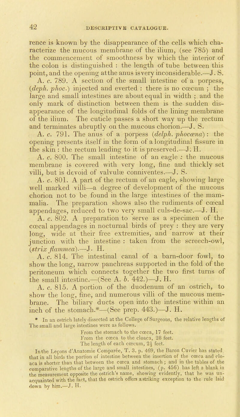 rence is known by the disappearance of the cells which cha- racterize the mucous membrane of the ilium, (see 785) and the commencement of smoothness by which the interior of the colon is distinguished : the length of tube between this point, and the opening atthe anus isvery inconsiderable.—J. S. A. c. 789. A section of the small intestine of a porpess, {deph. phoc.) injected and everted : there is no coecum ; the large and small intestines are about equal in width ; and the only mark of distinction between them is the sudden dis- appearance of the longitudinal folds of the lining membrane of the ilium. The cuticle passes a short way up the rectum and terminates abruptly on the mucous chorion.—J. S. A. c. 791. The anus of a porpess {delph. phoccena): the opening presents itself in the form of a longitudinal fissure in the skin : the rectum leading to it is preserved.—J. H. A. c. 800. The small intestine of an eagle : the mucous membrane is covered with very long, fine and thickly set villi, but is devoid of valvulse conniventes.—J. S. A. c. 801. A part of the rectum of an eagle, showing large well marked villi—a degree of development of the mucous chorion not to be found in the large intestines of the mam- malia. The preparation shows also the rudiments of coecal appendages, reduced to two very small culs-de-sac.—J. H. A. c. 802. A preparation to serve as a specimen of the coscal appendages in nocturnal birds of prey : they are very long, wide at their free extremities, and narrow at their junction with the intestine : taken from the screech-owl, {strixflammea)-—J- H. A. c. 814. The intestinal canal of a barn-door fowl, to show the long, narrow panchreas supported in the fold of the peritoneum which connects together the two first turns of the small intestine.—(See A. h. 442.)—J. H. A. c. 815. A portion of the duodenum of an ostrich, to show the long, fine, and numerous villi of the mucous mem- brane. The biliary ducts open into the intestine within an inch of the stomach.*—(See prep. 443.)—J. H. • In an ostrich lately dissected atthe College of Surgeons, the relative lengths of The small and large intestines were as follows. From the stomach to the coeca, 17 feet. From the cosca to the cloaca, 28 feet. The length of each caecum, 1\ feet. In the Lefons d'Anatomie Coraparie, T. 3. p. 469, the Baron Cuvier has stated that in all birds the portion of intestine between the insertion of the cceca and clo- aca is shorter than that between the cceca and stomach ; and in the tables of the comparative lengths of the large and small intestines, (p. 466) has left a blank in the measurement opposite the ostrich's name, showing evidently, that he was un- acquainted with the fact, that the ostrich offers astriking exception to the rule laid down by him.—.T. II.