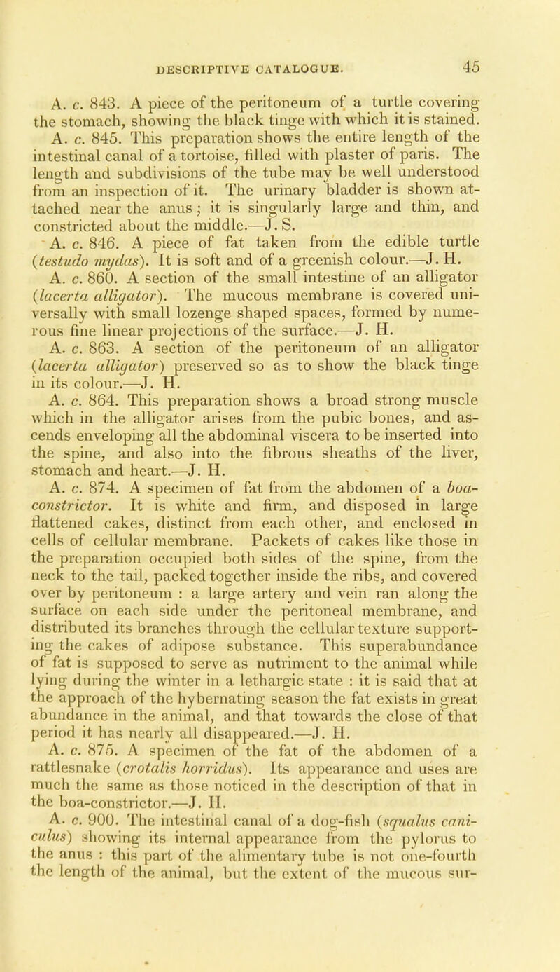 46 A. c. 843. A piece of the peritoneum of a turtle covering the stomach, showing the black tinge with which it is stained. A. c. 845. This preparation shows the entire length of the intestinal canal of a tortoise, filled with plaster of paris. The length and subdivisions of the tube may be well understood from an inspection of it. The urinary bladder is shown at- tached near the anus; it is singularly large and thin, and constricted about the middle.—J. S. A. c. 846. A piece of fat taken from the edible turtle {testudo mydas). It is soft and of a greenish colour.—J. H. A. c. 860. A section of the small intestine of an alligator {Icicerta alligator). The mucous membrane is covered uni- versally with small lozenge shaped spaces, formed by nume- rous fine linear projections of the surface.—J. H. A. c. 863. A section of the peritoneum of an alligator {lacei'ta alligator) preserved so as to show the black tinge in its colour.—J. H. A. c. 864. This preparation shows a broad strong muscle which in the alligator arises from the pubic bones, and as- cends enveloping all the abdominal viscera to be inserted into the spine, and also into the fibrous sheaths of the liver, stomach and heart.—J. H. A. c. 874. A specimen of fat from the abdomen of a hoa- constrictor. It is white and firai, and disposed in large flattened cakes, distinct from each other, and enclosed in cells of cellular membrane. Packets of cakes like those in the preparation occupied both sides of the spine, from the neck to the tail, packed together inside the ribs, and covered over by peritoneum : a large artery and vein ran along the surface on each side under the peritoneal membrane, and distributed its branches through the cellular texture support- ing the cakes of adipose substance. This superabundance of fat is supposed to serve as nutriment to the animal while lying during the winter in a lethargic state : it is said that at the approach of the hybernating season the fat exists in great abundance in the animal, and that towards the close of that period it has nearly all disappeared.—J. II. A. c. 875. A specimen of the fat of the abdomen of a rattlesnake {crotalis horridus). Its appearance and uses are much the same as those noticed in the description of that in the boa-constrictor.—J. H. A. c. 900. The intestinal canal of a dog-fish {squalus cani- culus) showing its internal appearance from the pylorus to the anus : this part of the alimentary tube is not one-fourth the length of the animal, but the extent of the mucous svii-