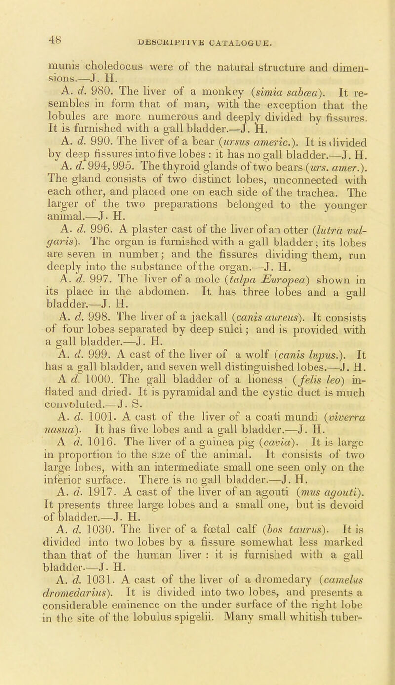 munis choledocus were of the natural structure and dimen- sions.—J. H. A. d. 980. The Uver of a monkey {simia sahcea). It re- sembles in form that of man, with the exception that the lobules are more numerous and deeply divided by fissures. It is furnished with a gall bladder.—J. H. A. d. 990. The liver of a bear {ursus americ). It is divided by deep fissures into five lobes : it has no gall bladder.—J. H. A. d. 994,995. The thyroid glands of two bears {urs. amer.). The gland consists of two distinct lobes, unconnected with each other, and placed one on each side of the trachea. The larger of the two preparations belonged to the younger animal.—J. H. A. d. 996. A plaster cast of the hver of an otter (lutra vul- garis). The organ is furnished with a gall bladder; its lobes are seven in number; and the fissures dividing them, run deeply into the substance of the organ.—J. H. A. d. 997. The liver of a mole {talpa Europea) shown in its place in the abdomen. It has three lobes and a gall bladder.—J. H. A. d. 998. The liver of a jackall {canis aureus). It consists of four lobes separated by deep sulci; and is provided with a gall bladder.—J, H. A. d. 999. A cast of the liver of a wolf {canis lupus.). It has a gall bladder, and seven well distinguished lobes.—J. H. A d. 1000. The gall bladder of a lioness {felis leo) in- flated and dried. It is pyramidal and the cystic duct is much convoluted.—J. S. A. d. 1001. A cast of the liver of a coati mundi {viverra nasua). It has five lobes and a gall bladder.—J. H. A d. 1016. The liver of a guinea pig {cavia). It is large in proportion to the size of the animal. It consists of two large lobes, with an intermediate small one seen only on the inferior surface. There is no gall bladder.—J. H. A. d. 1917. A cast of the liver of an agouti (mus agouti). It presents three large lobes and a small one, but is devoid of bladder.—J. H. A. d. 1030. The liver of a foetal calf {bos taurus). It is divided into two lobes by a fissure somewhat less marked than that of the human liver : it is furnished with a gall bladder—J. H. A. d. 1031. A cast of the liver of a dromedary {camelus dromedarius). It is divided into two lobes, and presents a considerable eminence on the under surface of the right lobe in the site of the lobulus spigelii. Many small whitish tuber-