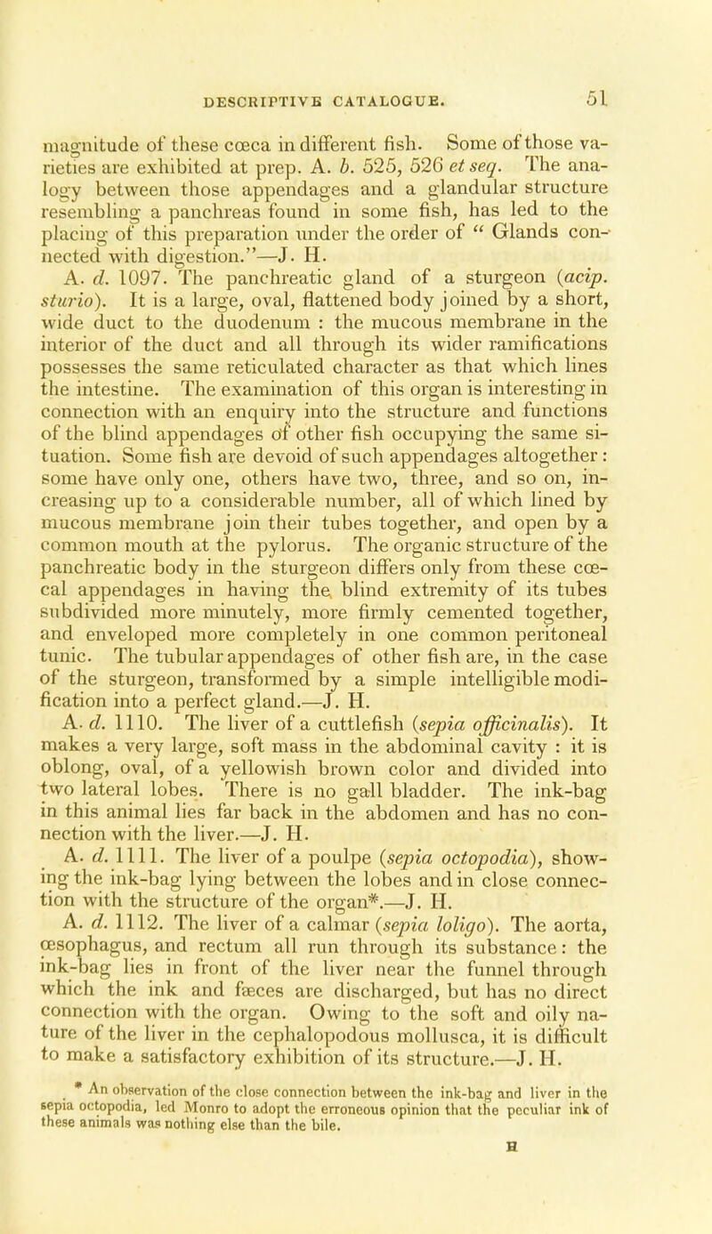 magnitude of these coeca in different fish. Some of those va- rieties are exhibited at prep. A. b. 525, 526 et seq. The ana- logy between those appendages and a glandular structure resembling a panchreas found in some fish, has led to the placing of this preparation under the order of  Glands con-' nected with digestion.—J. H. A. d. 1097. The panchreatic gland of a sturgeon {acip. sturio). It is a large, oval, flattened body joined by a short, wide duct to the duodenum : the mucous membrane in the interior of the duct and all through its wider ramifications possesses the same reticulated character as that which lines the intestine. The examination of this organ is interesting in connection with an enquiry into the structure and functions of the blind appendages of other fish occupying the same si- tuation. Some fish are devoid of such appendages altogether : some have only one, others have two, three, and so on, in- creasing up to a considerable number, all of which lined by mucous membrane join their tubes together, and open by a common mouth at the pylorus. The organic structure of the panchreatic body in the sturgeon differs only from these coe- cal appendages in having the, blind extremity of its tubes subdivided more minutely, more firmly cemented together, and enveloped more completely in one common peritoneal tunic. The tubular appendages of other fish are, in the case of the sturgeon, transfonned by a simple intelligible modi- fication into a perfect gland.—J. H. A. d. 1110. The liver of a cuttlefish {sepia officinalis). It makes a very large, soft mass in the abdominal cavity : it is oblong, oval, of a yellowish brown color and divided into two lateral lobes. There is no gall bladder. The ink-bag in this animal lies far back in the abdomen and has no con- nection with the liver.—J. H. A. d. 1111. The liver of a poulpe {sepia octopodia), show- ing the ink-bag lying between the IoIdcs and in close connec- tion with the structure of the organ*.—J. H. A. d. 1112. The liver of a calmar {sepia loligo). The aorta, oesophagus, and rectum all run through its suljstance: the ink-bag lies in front of the liver near the funnel through which the ink and faeces are discharged, but has no direct connection with the organ. Owing to the soft and oily na- ture of the liver in the cephalopodous mollusca, it is difficult to make a satisfactory exhibition of its structure.—J. H. • An observation of the close connection between the ink-bag and livor in the sepia octopodia, led Monro to adopt the erroneous opinion that the peculiar ink of these animals was nothing else than the bile. H