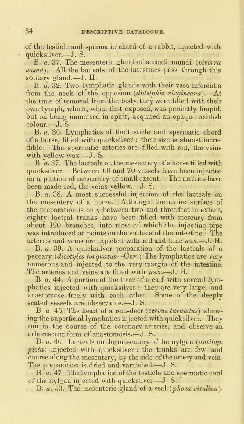 of the testicle and spermatic chord of a rabbit, injected with quicksilver.—J. S. B. a. 37. The mesenteric gland of a coati mundi {viverra nasua). All the lacteals of the intestines pass through this solitary gland.—J. H. B. a. 32. Two lymphatic glands with their vasa inferentia from the neck of the opposum {didelphis virgineana). At the time of removal from the body they were filled with their own lymph, which, when first exposed, was perfectly limpid, but on being immersed in spii'it, acquired an opaque reddish colour.—J. S. B. a. 36. Lymphatics of the testicle and spermatic chord of a horse, filled with quick&ilver : their size is almost incre- dible. The spermatic arteries are filled with red, the veins with yellow wax.—J. S. B. a. 37. The lacteals on the mesentery of a horse filled with quicksilver. Between 60 and 70 vessels have been injected on a portion of mesentery of small extent. The arteries have been made red, the veins yellow.—J. S. B. a. 38. A most successful injection of the lacteals on the mesentery of a horse. Although the entire surface of the preparation is only between two and three feet in extent, eighty lacteal trunks have been filled with mercury from about 120 branches, into most of which the injecting pipe was introduced at points on the surface of the intestine. The arteries and veins are injected with red and blue wax.—J. H. B. a. 39. A quicksilver preparation of the lacteals of a peccary {dicotyles torquatus—Cuv.) The lymphatics are very numerous, and injected to the very margin of the intestine. The arteries and veins are filled with wax.—J. H. B. a. 44. A portion of the liver of a calf with several lym- phatics injected with quicksilver : they are very large, and anastomose freely with each other. Some of the deeply seated vessels are observable.—J. S. B. a. 45. The heart of a rein-deer {cervus tarandus) show- ing the superficial lymphatics injected with quicksilver. They run in the course of the coronary arteries, and observe an arborescent form of anastomosis.—J. S. B. a. 46. Lacteals on the mesentery of the nylgau (antilop. picta) injected with quicksilver : the trunks are few and course along the mesentery, by the side of the artery and vein. The preparation is dried and varnished.—J. S. B. a. 47. The lymphatics of the testicle and spermatic cord of the nylgau injected with quicksilver.—J. S. B: a. 53. The mesenteric gland of a seal (phoca vitulina).