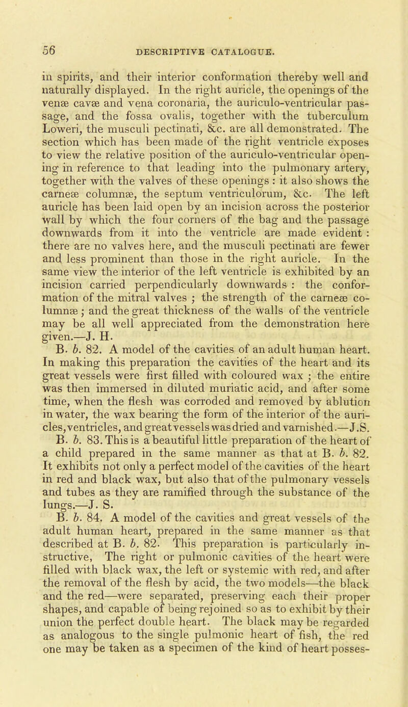 in spirits, and their interior conformation thereby well and naturally displayed. In the right auricle, the openings of the vense cavse and vena coronaria, the auriculo-ventricular pas- sage, and the fossa ovalis, together with the tuberculum Loweri, the musculi pectinati, 8cc. are all demonstrated. The section which has been made of the right ventricle exposes to view the relative position of the auriculo-ventricular open- ing in reference to that leading into the pulmonary artery, together with the valves of these openings : it also shows the carnese columnse, the septum ventriculorum, &c. The left auricle has been laid open by an incision across the posterior wall by which the four corners of the bag and the passage downwards from it into the ventricle are made evident : there are no valves here, and the musculi pectinati are fewer and less prominent than those in the right auricle. In the same view the interior of the left ventricle is exhibited by an incision carried perpendicularly downwards : the confor- mation of the mitral valves ; the strength of the carnese co- lumnse ; and the great thickness of the walls of the ventricle may be all well appreciated from the demonstration here given.—J. H. B. b. 82. A model of the cavities of an adult human heart. In making this preparation the cavities of the heart and its great vessels were first filled with coloured wax ; the entire was then immersed in diluted muriatic acid, and after some time, when the flesh was corroded and removed by ablution in water, the wax bearing the form of the interior of the auri- cles, ventricles, and great vessels was dried and varnished-—J.S. B. b. 83. This is a beautiful little preparation of the heart of a child prepared in the same manner as that at B. b. 82. It exhibits not only a perfect model of the cavities of the heart in red and black wax, but also that of the pulmonary vessels and tubes as they are ramified through the substance of the lungs.—J. S. B. b. 84. A model of the cavities and great vessels of the adult human heart, prepared in the same manner as that described at B. b. 82. This preparation is particularly in- structive, The right or pulmonic cavities of the heart were filled with black wax, the left or systemic with red, and after the removal of the flesh by acid, the two models—the black and the red—were separated, preserving each their proper shapes, and capable of being rejoined so as to exhibit by their union the perfect double heart. The black maybe regarded as analogous to the single pulmonic heart of fish, the red one may be taken as a specimen of the kind of heart posses-