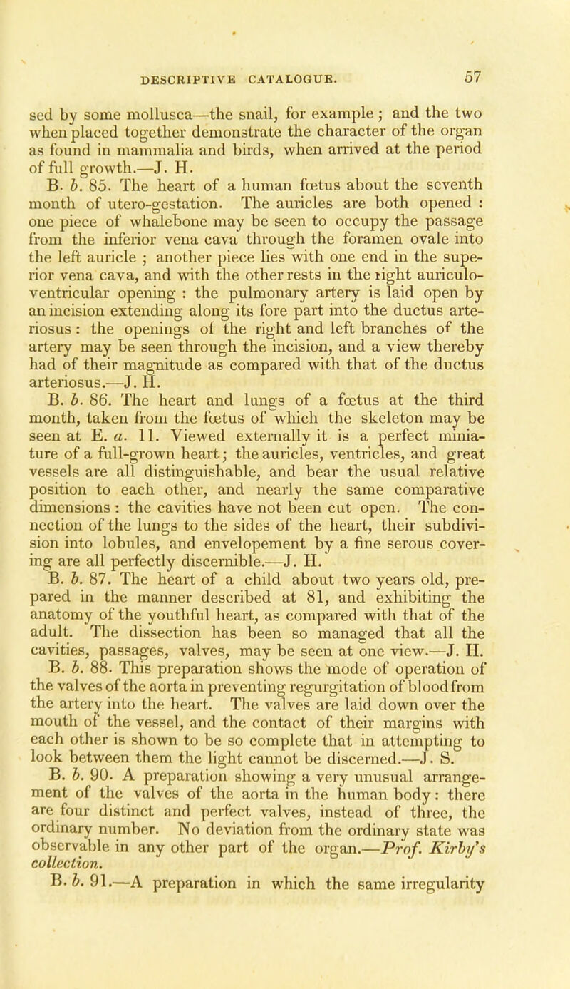 sed by some mollusca—the snail, for example; and the two when placed together demonstrate the character of the organ as found in mammaha and birds, when arrived at the period of full growth.—J. H. B. h. 85. The heart of a human fcBtus about the seventh month of utero-gestation. The auricles are both opened ; one piece of whalebone may be seen to occupy the passage from the inferior vena cava through the foramen ovale into the left auricle ; another piece lies with one end in the supe- rior vena cava, and with the other rests in the light auriculo- ventricular opening : the pulmonary artery is laid open by an incision extending along its fore part into the ductus arte- riosus : the openings of the right and left branches of the artery may be seen through the incision, and a view thereby had of their magnitude as compared with that of the ductus arteriosus.—J. H. B. b. 86. The heart and lungs of a foetus at the third month, taken from the foetus of which the skeleton may be seen at E. a. 11. Viewed externally it is a perfect minia- ture of a full-grown heart; the auricles, ventricles, and great vessels are all distinguishable, and bear the usual relative position to each other, and nearly the same comparative dimensions : the cavities have not been cut open. The con- nection of the lungs to the sides of the heart, their subdivi- sion into lobules, and envelopement by a fine serous cover- ing are all perfectly discernible.—J. H. B. b. 87. The heart of a child about two years old, pre- pared in the manner described at 81, and exhibiting the anatomy of the youthful heart, as compared with that of the adult. The dissection has been so managed that all the cavities, passages, valves, may be seen at one view.—J. H. B. b. 88. This preparation shows the mode of operation of the valves of the aorta in preventing regurgitation of blood from the artery into the heart. The valves are laid down over the mouth of the vessel, and the contact of their margins with each other is shown to be so complete that in attempting to look between them the light cannot be discerned.—J. S. B. b. 90. A preparation showing a very unusual arrange- ment of the valves of the aorta in the human body: there are four distinct and perfect valves, instead of three, the ordinary number. No deviation from the ordinary state was observable in any other part of the organ.—Prof. Kirbijs collection. B. b. 91.—A preparation in which the same irregularity