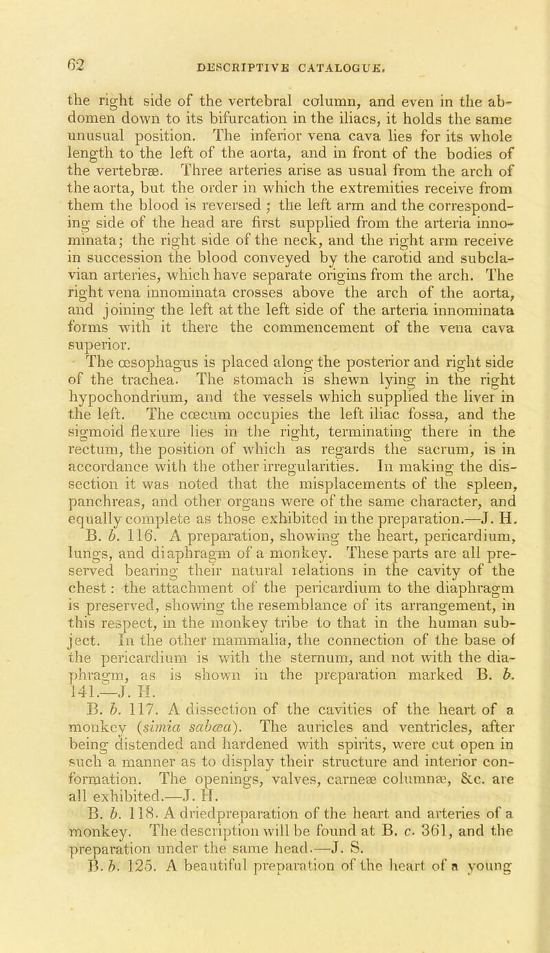 the right side of the vertebral column, and even in the ab- domen down to its bifurcation in the iliacs, it holds the same unusual position. The inferior vena cava lies for its whole length to the left of the aorta, and in front of the bodies of the vertebrae. Three arteries arise as usual from the arch of the aorta, but the order in which the extremities receive from them the blood is reversed ; the left arm and the correspond- ing side of the head are first supplied from the arteria inno- minata; the right side of the neck, and the right arm receive in succession the blood conveyed by the carotid and subcla- vian arteries, which have separate origins from the arch. The right vena innominata crosses above the arch of the aorta, and joining the left at the left side of the arteria innominata forms with it there the commencement of the vena cava superior. The oesophagus is placed along the posterior and right side of the trachea. The stomach is shewn lying in the right hypochondrium, and the vessels which supplied the liver in the left. The ccecum occupies the left iliac fossa, and the sigmoid flexure lies in the right, terminating there in the rectum, the position of which as regards the sacrum, is in accordance with the other irreo;ularities. In makins; the dis- section it was noted that the misplacements of the spleen, panchreas, and other organs were of the same character, and equally complete as those exhibited in the preparation.—J. H, B. b, 116. A preparation, showing the heart, pericardium, lungs, and diaphragm of a monkey. These parts are all pre- served bearing their natural relations in the cavity of the chest: the attachment of the pericardium to the diaphragm is preserved, showing the resemblance of its arrangement, in this respect, in the monkey tribe to that in the human sub- ject. In the other mammalia, the connection of the base of the pericardium is with the sternum, and not with the dia- j)hragm, as is shown in the preparation marked B. b. U\.—i, II. B. b. 117. A dissection of the cavities of the heart of a monkey {simia sabcea). The auricles and ventricles, after being distended and hardened with spirits, were cut open in such a manner as to display their structure and interior con- formation. The openings, valves, carneae columnar &c. are all exhibited.—J. H. B. b. 118. A dricdpreparation of the heart and arteries of a monkey. The description will be found at B. c. 361, and the preparation under the same head.—J. S. B. b. 125. A beautiful preparation of the. licart of « young