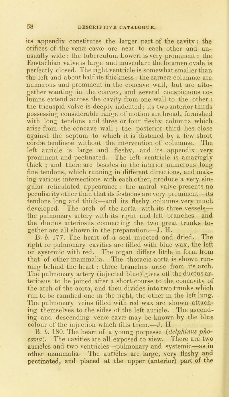 its appendix constitutes the larger part of the cavity : the orifices of the venae cavse are near to each other and un- usually wide : the tuberculum Loweri is very prominent: the Eustachian valve is large and muscular : the foramen ovale is perfectly closed. The right ventricle is somewhat smaller than the left and about half its thickness : the carncce columnae are numerous and prominent in the concave wall, but are alto- gether wanting in the convex, and several conspicuous co- lumns extend across the cavity from one wall to the other : the tricuspid valve is deeply indented ; its two anterior thirds possessing considerable range of motion are broad, furnished with long tendons and three or four fleshy columns which arise from the concave wall ; the posterior third lies close against the septum to which it is fastened by a few short cordae tendinese without the intervention of columnse. The left auricle is large and fleshy, and its appendix very prominent and pectmated. The left ventricle is amazingly thick ; and there are besides in the interior numerous long fine tendons, which running in different directions, and mak- ing various intersections with each other, produce a very sin- gular reticulated appearance : the mitral valve presents no peculiarity other than that its festoons are very prominent—its tendons long and thick—and its fleshy columns very much developed. The arch of the aorta with its three vessels— the pulmonary artery with its right and left branches—and the ductus arteriosus connecting the two great trunks to- gether are all shown in the preparation.—J. H. B. h. 111. The heart of a seal injected and dried. The right or pulmonary cavities are filled with blue wax, the left or systemic with red. The organ differs little in form from that of other mammalia. The thoracic aorta is shown run- ning behind the heart : three branches arise from its arch. The pulmonary artery (injected blue) gives off the ductus ar- teriosus to be joined after a short course to the concavity of the arch of the aorta, and then divides into two trunks which run to be ramified one in the right, the other in the left lung. The pulmonary veins filled with red wax are shown attach- ing themselves to the sides of the left auricle. The ascend- ing and descending venae cavae may be known by the blue colour of the injection which fills them.—J. H. B. b. 180. The heart of a young porpesse (delpkinus pko- ccend). The cavities are all exposed to view. There are two auricles and two ventricles—pulmonary and systemic—as in other mammalia. The auricles are large, very fleshy and pectinated, and placed at the upper (anterior) part of the