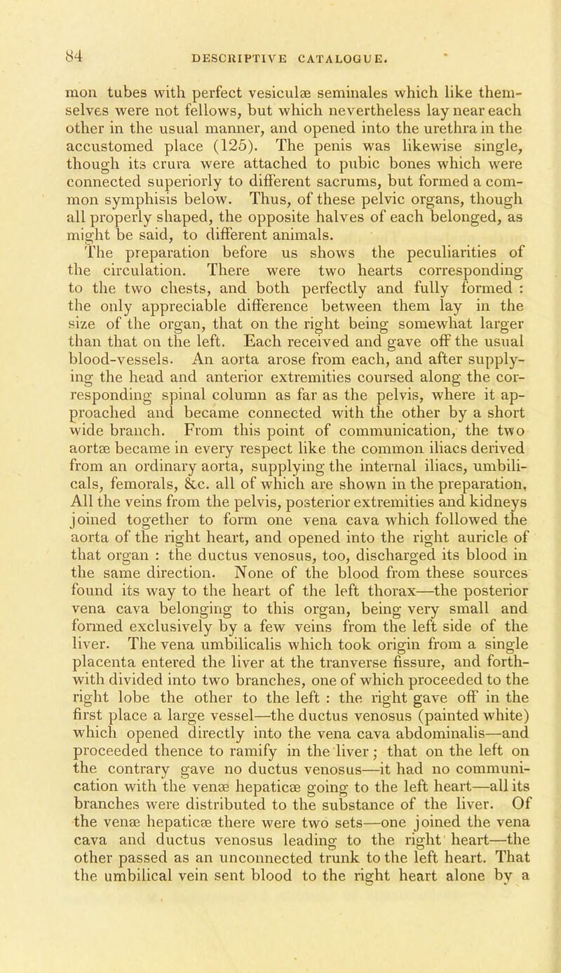 mon tubes with perfect vesiculae semiuales which like them- selves were not fellows, but which nevertheless lay near each other in the usual manner, and opened into the urethra in the accustomed place (125). The penis was likewise single, though its crura were attached to pubic bones which were connected superiorly to different sacrums, but formed a com- mon symphisis below. Thus, of these pelvic organs, though all properly shaped, the opposite halves of each belonged, as might be said, to different animals. The preparation before us shows the peculiarities of the circulation. There were two hearts corresponding to the two chests, and both perfectly and fully formed : the only appreciable difference between them lay in the size of the organ, that on the right being somewhat larger than that on the left. Each received and gave off the usual blood-vessels. An aorta arose from each, and after supply- ing the head and anterior extremities coursed along the cor- responding spinal column as far as the pelvis, where it ap- proached and became connected with the other by a short wide branch. From this point of communication, the two aortse became in every respect like the common iliacs derived from an ordinary aorta, supplying the internal iliacs, umbili- cals, femorals, 8cc. all of which are shown in the preparation. All the veins from the pelvis, posterior extremities and kidneys joined together to form one vena cava which followed the aorta of the right heart, and opened into the right auricle of that organ : the ductus venosus, too, discharged its blood in the same direction. None of the blood from these sources found its way to the heart of the left thorax—the posterior vena cava belonging to this organ, being very small and formed exclusively by a few veins from the left side of the liver. The vena umbilicalis which took origin from a single placenta entered the liver at the tranverse fissure, and forth- with divided into two branches, one of which proceeded to the right lobe the other to the left : the right gave off in the first place a large vessel—the ductus venosus (painted white) which opened directly into the vena cava abdominalis—and proceeded thence to ramify in the liver; that on the left on the contrary gave no ductus venosus—it had no communi- cation with the vense hepaticae going to the left heart—all its branches were distributed to the substance of the liver. Of the venae hepaticae there were two sets—one joined the vena cava and ductus venosus leading to the right heart—the other passed as an unconnected trunk to the left heart. That the umbilical vein sent blood to the right heart alone by a