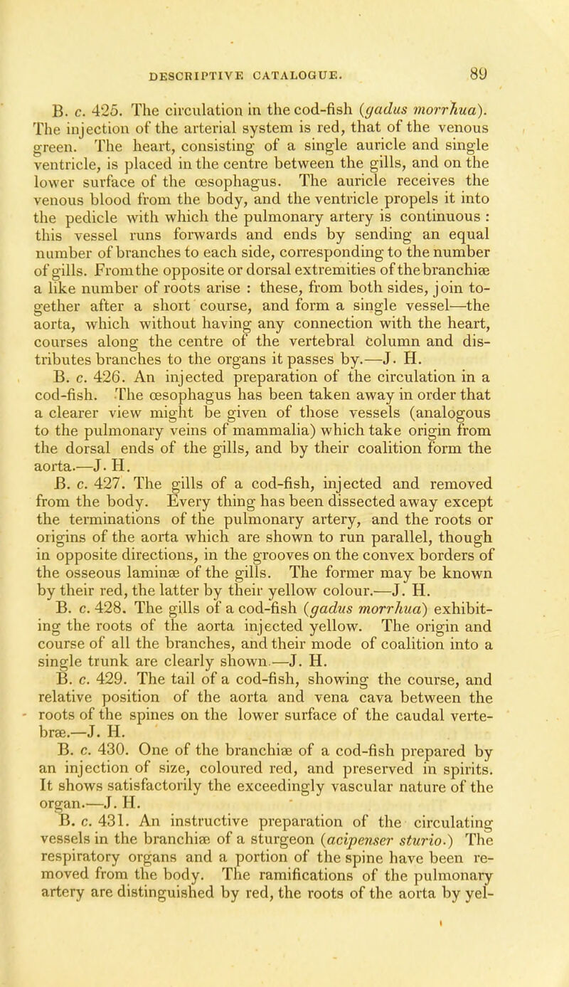 B. c. 425. The circulation in the cod-fish {gadiis inorrh.ua). The injection of the arterial system is red, that of the venous green. The heart, consisting of a single auricle and single ventricle, is placed in the centre between the gills, and on the lower surface of the oesophagus. The auricle receives the venous blood from the body, and the ventricle propels it into the pedicle with which the pulmonary artery is continuous : this vessel runs forwards and ends by sending an equal number of branches to each side, corresponding to the number of gills. From the opposite or dorsal extremities of the branchiae a like number of roots arise : these, from both sides, j oin to- gether after a short course, and form a single vessel—the aorta, which without having any connection with the heart, courses along the centre of the vertebral Column and dis- tributes branches to the organs it passes by.—J. H. B. c. 426. An injected preparation of the circulation in a cod-fish. The oesophagus has been taken away in order that a clearer view might be given of those vessels (analogous to the pulmonary veins of mammalia) which take origin from the dorsal ends of the gills, and by their coalition form the aorta.—J. H. B. c. 427. The gills of a cod-fish, injected and removed from the body. Every thing has been dissected away except the terminations of the pulmonary artery, and the roots or origins of the aorta which are shown to run parallel, though in opposite directions, in the grooves on the convex borders of the osseous laminae of the gills. The former may be known by their red, the latter by their yellow colour.—J. H. B. c. 428. The gills of a cod-fish {gadus morrhua) exhibit- ing the roots of the aorta injected yellow. The origin and course of all the branches, and their mode of coalition into a single trunk are clearly shown.—J. H. B. c. 429. The tail of a cod-fish, showing the course, and relative position of the aorta and vena cava between the - roots of the spines on the lower surface of the caudal verte- bree.—J. H. B. c. 430. One of the branchiae of a cod-fish prepared by an injection of size, coloured red, and preserved in spirits. It shows satisfactorily the exceedingly vascular nature of the organ.—J. H. B. c. 431. An instructive preparation of the circulating vessels in the branchiae of a sturgeon {acipenser sturio.) The respiratory organs and a portion of the spine have been re- moved from the body. The ramifications of the pulmonary artery are distinguished by red, the roots of the aorta by yel- I