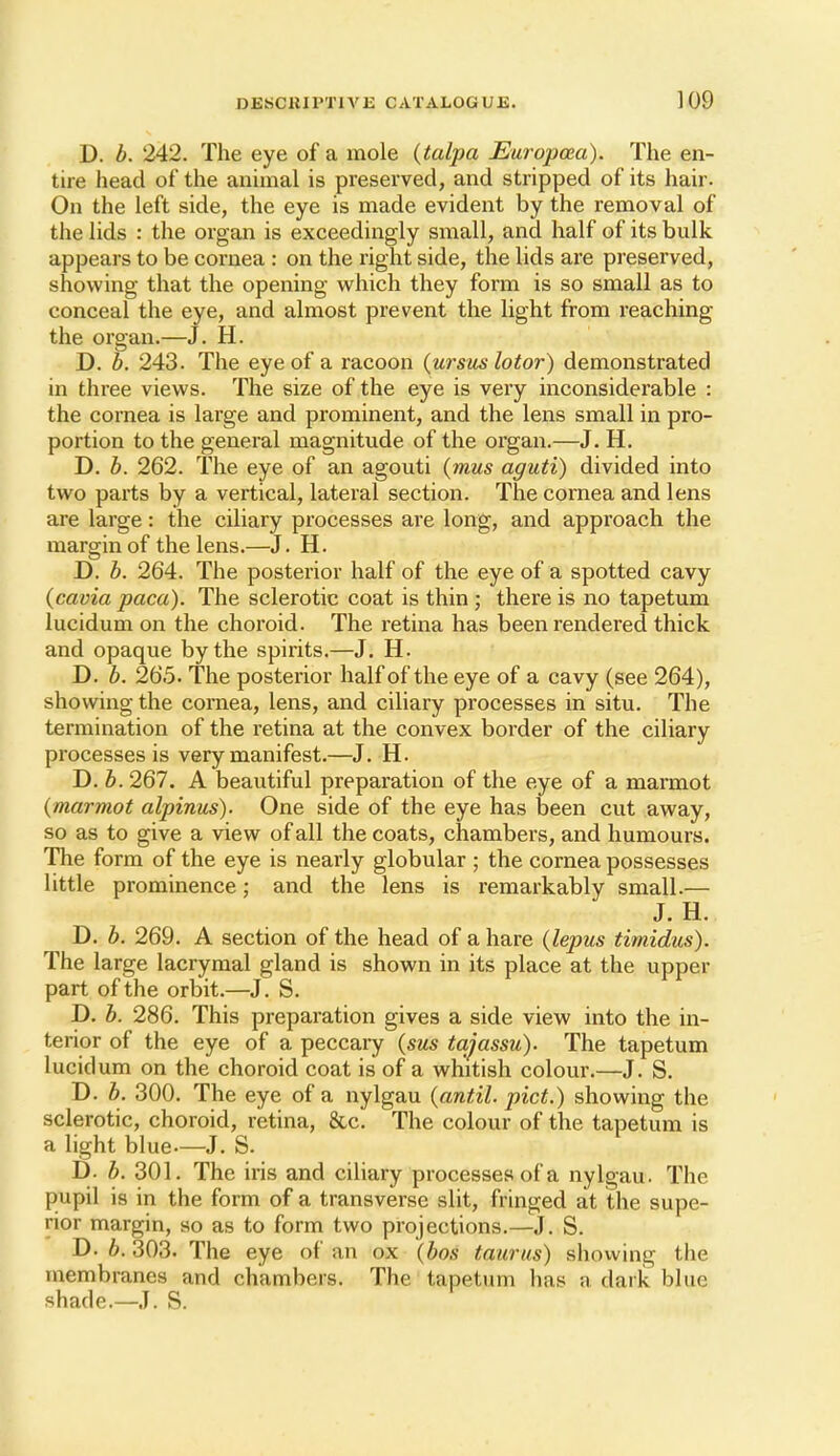 D. b. 242. The eye of a mole {talpa Europcca). The en- tire head of the animal is preserved, and stripped of its hair. On the left side, the eye is made evident by the removal of the lids : the organ is exceedingly small, and half of its bulk appears to be cornea : on the right side, the lids are preserved, showing that the opening which they form is so small as to conceal the eye, and almost prevent the light from reaching the organ.—J. H. D. b. 243. The eye of a racoon (ursuslotor) demonstrated in three views. The size of the eye is very inconsiderable : the cornea is large and prominent, and the lens small in pro- portion to the general magnitude of the organ.—J. H, D. b. 262. The eye of an agouti (mus aguti) divided into two parts by a vertical, lateral section. The cornea and lens are large: the ciliary processes are long, and approach the margin of the lens.—J. H. D. b. 264. The posterior half of the eye of a spotted cavy (cavia paca). The sclerotic coat is thin ; there is no tapetum lucidum on the choroid. The retina has been rendered thick and opaque by the spirits.—J. H. D. b. 265. The posterior half of the eye of a cavy (see 264), showing the cornea, lens, and ciliary processes in situ. The termination of the retina at the convex border of the ciliary processes is very manifest.—J. H. D. h. 267. A beautiful preparation of the eye of a marmot {marmot alpinus). One side of the eye has been cut away, so as to give a view of all the coats, chambers, and humours. The form of the eye is nearly globular ; the cornea possesses little prominence; and the lens is remarkably small.— J. H. D. b. 269. A section of the head of a hare {lepus timidus). The large lacrymal gland is shown in its place at the upper part of the orbit.—J. S. D. b. 286. This preparation gives a side view into the in- terior of the eye of a peccaiy {sus tajassu). The tapetum lucidum on the choroid coat is of a whitish colour.—J. S. D. b. 300. The eye of a nylgau {antil. pict.) showing the sclerotic, choroid, retina, &c. The colour of the tapetum is a light blue—J. S. D. b. 301. The iris and ciliary processes of a nylgau. The pupil is in the form of a transverse slit, fringed at the supe- rior margin, so as to form two projections.—J. S. D. b. 303. The eye of an ox (bos taurus) showing the membranes and chambers. The tapetum has a dark blue shade.—J. S.
