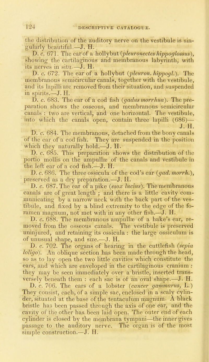 the distribution of the auditory nerve on the vestibule is sin- gularly beautiful.—J. H. D, c. 671. The ear of a hoWyhut {pleuronectes hippofflossus), showing the cartilaginous and membranous labyrinth, with its nerves in situ-—J. H. D. c. 672. The ear of a hollybut {pleuron. hippogl.). The membranous semicircular canals, together with the vestibule, and its lapilli are removed from their situation, and suspended in spirits.—J. H. D. c. 683. The ear of a cod fish {gadus morrhua). The pre- paration shows the osseous, and membranous semicircular canals : two are vertical, and one horizontal. The vestibule, into which the canals open, contain three lapilli (686)— J. H. D. c. 684. The membranous, detached from the bony canals of the ear of a cod fish. They ai*e suspended in the position which they naturally hold.—J. H. D. c. 685. This preparation shows the distribution of the plortio mollis on the ampullse of the canals and vestibule in the left ear of a cod fish.—J. H. D. c. 686. The three ossicula of the cod's ear {gad. morrh.), preserved as a dry preparation.—J. H. D. c. 687, The ear of a pike {esox lucius). The membranous canals are of great length ; and there is a little cavity com- municating by a narrow neck with the back part of the ves- tibule, and fixed by a blind extremity to the edge of the fo- ramen magnum, not met with in any other fish.—J. H. D. c. 688. The membranous ampullse of a hake's ear, re- moved from the osseous canals. The vestibule is preserved uninjured, and retaining its ossicula : the large ossiculum is of unusual shape, and size.—J. H. D. c. 702. The organs of hearing in the cuttlefish {sepia loligo). An oblique section has been made through the head, so as to lay open the two little cavities which constitute the ears, and which are enveloped in the cartilaginous cranium : they may be seen immediately over a bristle, inserted trans- versely beneath them : each sac is of an oval shape.—J- H. D. c. 706. The ears of a lobster {cancer gammarns, L.) They consist, each, of a simple sac, enclosed in a scaly cylin- der, situated at the base of the tentaculum magnum. A black bristle has been passed through the axis of one ear, and the cavity of the other has been laid open. The outer end of each cylinder is closed by the membrana tympani—the inner gives passage to the auditory nerve. The organ is of the most simple construction.—J. H.