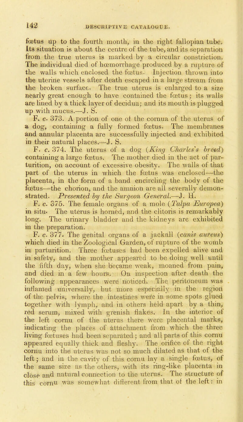 foetus up to the fourth mouth, in the right fallopian tube. Its situation is about the centre of the tube, and its separation from the true uterus is marked by a circular constriction. The individual died of hcemorrhage produced by a rupture of the walls which enclosed the fcetus. Injection thrown into the uterine vessels after death escaped in a large stream from the broken surface. The true uterus is enlarged to a size nearly great enough to have contained the foetus; its walls are lined by a thick layer of decidua; and its mouth is plugged up with mucus.—J. S. Fi. C' 373. A portion of one ot the cornua of the uterus of a dog, containing a fully formed foetus. The membranes and annular placenta are successfully injected and exhibited in their natural places.—J. S. F. c. 374. The uterus of a dog {King Charles's breed) containing a large foetus. The mother died in the act of par- turition, on account of excessive obesity. The walls of that part of the uterus in which the foetus was enclosed—the placenta, in the form of a band encircling the body of the foetus—the chorion, and the amnion are all severally demon- strated. Presented hy the Surgeon General.—J. H. F. c. 375. The female organs of a mole {Talpa Europea) in situ- The uterus is horned, and the clitoris is remarkably long. The urinary bladder and the kidneys are exhibited in the preparation. F. c. 377. The genital organs of a jackall {canis aurevs) which died in the Zoological Garden, of rupture of the womb in parturition. Three foetuses had been expelled alive and in safety, and the mother appeared to be doing well until the fifth day, when she became weak, moaned from pain, and died in a few hours. On inspection after death the following appearances were noticed. The peritoneum was inflamed universally, but more especially in the region of the pelvis, where the intestines were in some spots glued together with lymph, and in others held apart by a thin, red serum, mixed with grenish flakes. In the interior of the left cornu of the uterus there were placental marks, indicating the places of attachment from which the three living foetuses had been separated; and all parts of this comu appeared equally thick and fleshy. The orifice of the right cornu into the uterus was not so much dilated as that of the left; and in the cavity of this cornu lay a single foetus, of the same size as the others, with its ring-hke placenta in close and natural connection to the uterus. The structure of this cornu was somewhat different from that of the left: in