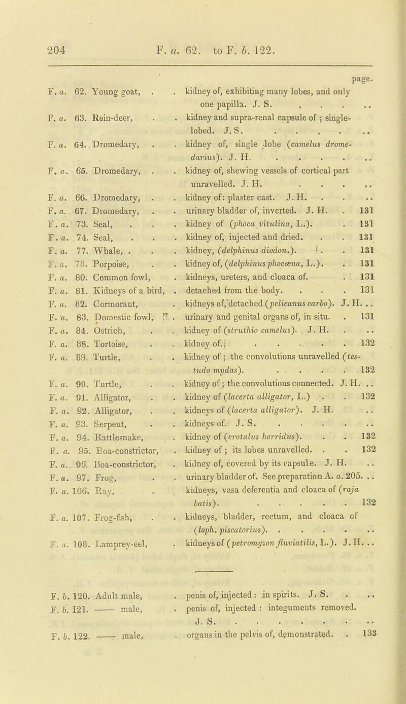 F. a. 62. Young goat, . F. a. 63. Rein-deer, F. a. 64. Dromedary, F. a. 65. Dromedary, . F. a. 66. Dromedary, F. a.. 67. Dromedary, F. a. 73. Seal, F. a. 74. Seal, F. o. 77. Whale, . F. a. 7B. Porpoise, F. a. 80. Common fowl, F. a . 81. Kidneys of a bird, F. a. 82. Cormorant, F. a. 83. Domestic fowl, T F. a. 84. Ostrich, F. a. 88. Tortoise, F. o. 89. Turtle, F. (t. 90. Turtle, F. a. 91. Alligator, F. o. 92. Alligator, F. a. 93. Serpent, F. a. 94. Rattlesnake, F. a. 95. Eoa-constrictor, F. a.. 96. Boa-constrictor, F.a. 97. Frog, F. a. 106. Hay, F. a. 107. Frog-fish, F. a. 108. Lamprey-eel, page. kidney of, exhibiting many lobes, and only one papilla. J. S. , kidney and supra-renal capsule of ; single- lobed. J. S. kidney of, single dobe (camelus drome- darivs). J. H. kidney of, shewing vessels of cortical part unravelled. .1. H. ..... kidney of: plaster cast. J. H. urinary bladder of, inverted. J. H. . 131 kidney of (phoca vitulina, L.). . 131 kidney of, injected and dried. . . 131 kidney, (delphinus diodon,). ' . . 131 kidney of, (^delphinusphoc(Bna,'L.). . 131 kidneys, ureters, and cloaca of. . 131 detached from the body. . . . 131 kidneys of,detached {pelicanus carbo). J. H. .. urinary and genital organs of, in situ, kidney of (^strutliio camelus'). J. H. kidney of. j .... kidney of ; the convolutions unravelled (tes- 131 132 132 H. J. H. 132 132 132 tudo mydas'). .... kidney of; the convolutions connected. J. H. kidney of (lacerta alligator, L.) kidneys of (^lacerta alligator). J. kidneys of. J. S. kidney of (^crotaltis horridus). kidney of; its lobes unravelled, kidney of, covered by its capsule, urinary bladder of. See preparation A. a. 205. .. kidneys, vasa deferentia and cloaca of (ra/a batis). 132 kidneys, bladder, rectum, and cloaca of (loph. piscatorius). kidneys of (petromyzon fluviaiilis, L.). J. H. .. F. 6. 120. Adult male, . penis of, injected : in spirits. J. S. Y ^ 121. male, . penis of, injected : integuments removed. J. S. 122. male, • organs in the pelvis of, demonstrated. . 133