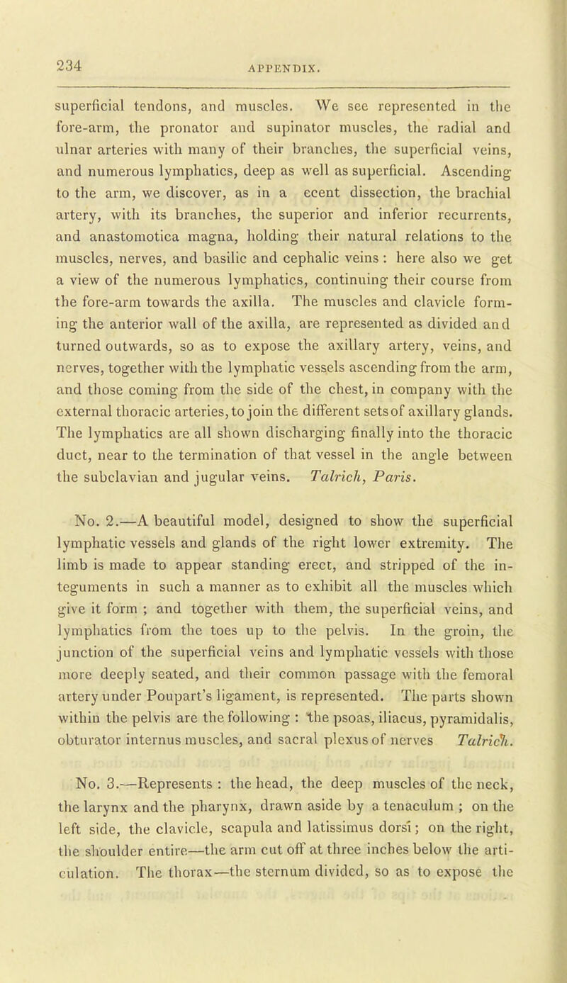superficial tendons, and muscles. We see represented in tlie fore-arm, the pronator and supinator muscles, the radial and ulnar arteries with many of their branches, the superficial veins, and numerous lymphatics, deep as well as superficial. Ascending to the arm, we discover, as in a ecent dissection, the brachial artery, with its branches, the superior and inferior recurrents, and anastomotica magna, holding their natural relations to the muscles, nerves, and basilic and cephalic veins: here also we get a view of the numerous lymphatics, continuing their course from the fore-arm towards the axilla. The muscles and clavicle form- ing the anterior wall of the axilla, are represented as divided and turned outwards, so as to expose the axillary artery, veins, and nerves, together with the lymphatic vessels ascending from the arm, and those coming from the side of the chest, in company with the external thoracic arteries, to join the different sets of axillary glands. The lymphatics are all shown discharging finally into the thoracic duct, near to the termination of that vessel in the angle between the subclavian and jugular veins. Talrich, Paris. No. 2.—A beautiful model, designed to show the superficial lymphatic vessels and glands of the right lower extremity. The limb is made to appear standing erect, and stripped of the in- teguments in such a manner as to exhibit all the muscles which give it form ; and together with them, the superficial veins, and lymphatics from the toes up to the pelvis. In the groin, the junction of the superficial veins and lymphatic vessels with those more deeply seated, and their common passage with the femoral artery under Poupart's ligament, is represented. The parts shown within the pelvis are the following : the psoas, iliacus, pyramidalis, obturator internus muscles, and sacral plexus of nerves Talricli. No. 3.—Represents: the head, the deep muscles of the neck, the larynx and the pharynx, drawn aside by a tenaculum ; on the left side, the clavicle, scapula and latissimus dors'i; on the right, the shoulder entire—the arm cut off at three inches below the arti- culation. The thorax—the sternum divided, so as to expose the