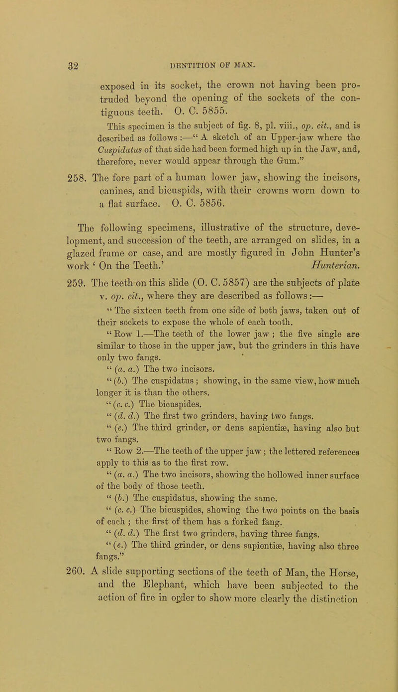 exposed in its socket, the crown not having been pro- truded beyond the opening of the sockets of the con- tiguous teeth. 0. C. 5855. This specimen is the subject of fig. 8, pi. viii., op. cit., and is described as follows :— A sketch of an Upper-jaw where the Cuspidatus of that side had been formed high up in the Jaw, and, therefore, never would appear through the Gum. 258. The fore part of a human lower jaw, showing the incisors, canines, and bicuspids, with their crowns worn down to a flat surface. 0. C. 5856. The following specimens, illustrative of the structure, deve- lopment, and succession of the teeth, are arranged on slides, in a glazed frame or case, and are mostly figured in John Hunter's work ' On the Teeth.' Hunterian. 259. The teeth on this slide (0. C. 5857) are the subjects of plate V. op. cit., where they are described as follows:—  The sixteen teeth from one side of both jaws, taken out of their sockets to expose the whole of each tooth.  Kow 1.—The teeth of the lower jaw ; the five single are similar to those in the upper jaw, but the grinders in this have only two fangs.  (a. a.) The two incisors.  (6.) The cuspidatus ; showing, in the same view, how much longer it is than the others.  (c. c.) The bicuspides.  {d, d.) The first two grinders, having two fangs.  (e.) The third grinder, or dens sapientiae, having also but two fangs.  Row 2.—The teeth of the upper jaw; the lettered references apply to this as to the first row.  (a. a.) The two incisors, showing the hollowed inner surface of the body of those teeth.  (6.) The cuspidatus, showing the same.  (c. c.) The bicuspides, showing the two points on the basis of each ; the first of them has a forked fang.  (cl. d.) The first two grinders, having three fangs.  (e.) The third grinder, or dens sapientiae, having also three fangs. 260. A slide supporting sections of the teeth of Man, the Horse, and the Elephant, which have been subjected to the action of fire in oi;der to show more clearly the distinction