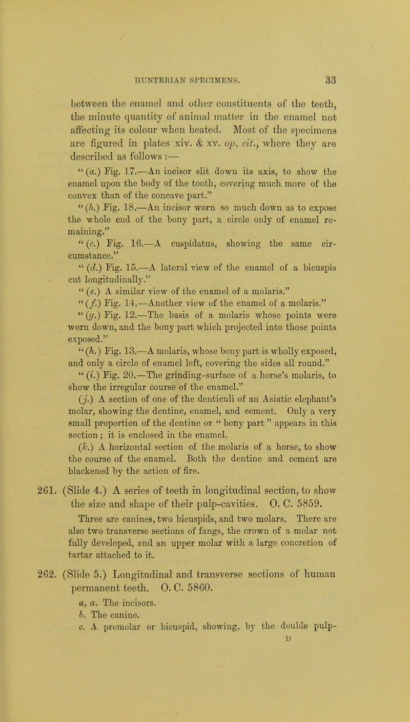 between the enamel and other constituents of the teeth, the minute quantity of animal matter in the enamel not affecting its colour when heated. Most of the specimens are figured in plates xiv. & xv. o;;. cit., where they are described as follows :— (a.) Pig. 17.—An incisor slit down its axis, to show the enamel upon the body of the tooth, covering much more of the convex than of the concave part. (b.) Fig. 18.—A.n incisor worn so much down as to expose the whole end of the bony part, a circle only of enamel re- maining. (c) Pig. 16.—A cuspidatus, showing the same cir- cumstance. (d.) Pig. 15.—^A lateral view of the enamel of a bicuspis cut longitudinally. (e.) A similar view of the enamel of a molaris. (/.) Pig. 14.—Another view of the enamel of a molaris. (ff.) Pig. 12.—The basis of a molaris whose points were worn down, and the bony part which projected into those points exposed. (A.) Pig. 13.—A molaris, whose bony part is wholly exposed, and only a circle of enamel left, covering the sides all round. (i.) Pig. 20.—The grinding-surface of a horse's molaris, to show the irregular course of the enamel. (j.) A section of one of the denticuli of an Asiatic elephant's molar, showing the dentine, enamel, and cement. Only a very small proportion of the dentine or bony part appears in this section; it is enclosed in the enamel. (7f.) A horizontal section of the molaris of a horse, to show the course of the enamel. Both the dentine and cement are blackened by the action of fire. 261. (Slide 4.) A series of teeth in longitudinal section, to show the size and shape of their pulp-cavities. 0. C. 5859. Three are canines, two bicuspids, and two molars. There are also two transverse sections of fangs, the crown of a molar not fully developed, and an upper molar with a large concretion of tartar attached to it. 262. (Slide 5.) Longitudinal and transverse sections of human permanent teeth. 0. C. 5860. c, a. The incisors. b. The canine. c. A premolar or bicuspid, showing, by the double pulp- D