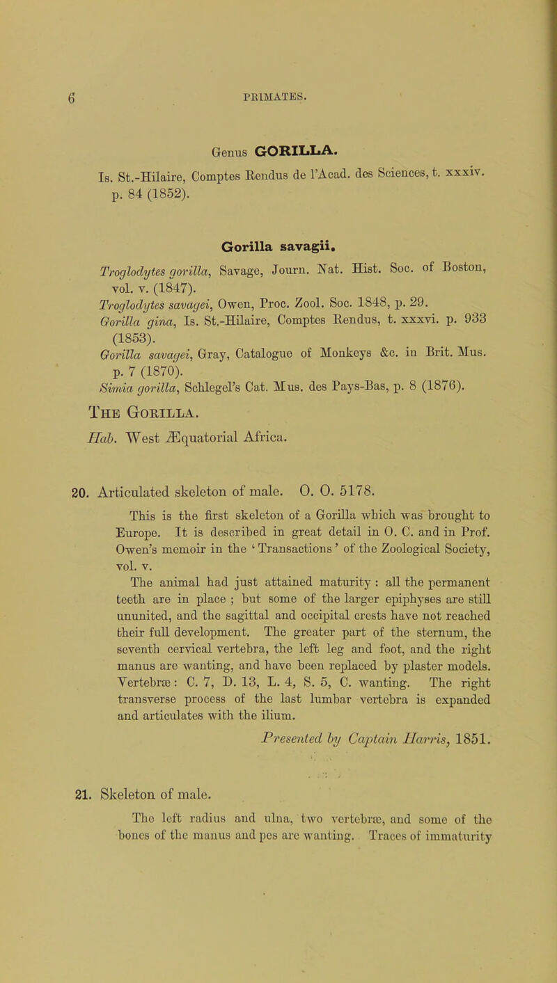 Genus GORILLA. Is. St.-Hilaire, Comptes Rendus de l'Acad. dcs Sciences, t. xxxiv. p. 84 (1852). Gorilla savagii. Troglodytes gorilla, Savage, Journ. Nat. Hist. Soc. of Boston, vol. v. (1847). Troglodytes savagei, Owen, Proc. Zool. Soc. 1848, p. 29. Gorilla gina, Is. St.-Hilaire, Comptes Rendus, t. xxxvi. p. 933 (1853). Gorilla savagei, Gray, Catalogue of Monkeys &c. in Brit. Mus. p. 7 (1870). Simia gorilla, Schlegel's Cat. Mus. des Pays-Bas, p. 8 (1876). The Gorilla. Hab. West Equatorial Africa. 20. Articulated skeleton of male. 0. 0. 5178. This is the first skeleton of a Gorilla which was brought to Europe. It is described in great detail in 0. C. and in Prof. Owen's memoir in the ' Transactions' of the Zoological Society, vol. v. The animal had just attained maturity : all the permanent teeth are in place ; but some of the larger epiphyses are still ununited, and the sagittal and occipital crests have not reached their full development. The greater part of the sternum, the seventh cervical vertebra, the left leg and foot, and the right manus are wanting, and have been replaced by plaster models. Vertebrae: C. 7, D. 13, L. 4, S. 5, C. wanting. The right transverse process of the last lumbar vertebra is expanded and articulates with the ilium. Presented by Captaiyi Harris, 1851. 21. Skeleton of male. The left radius and ulna, two vertebra), and some of the bones of the manus and pes are wanting. Traces of immaturity