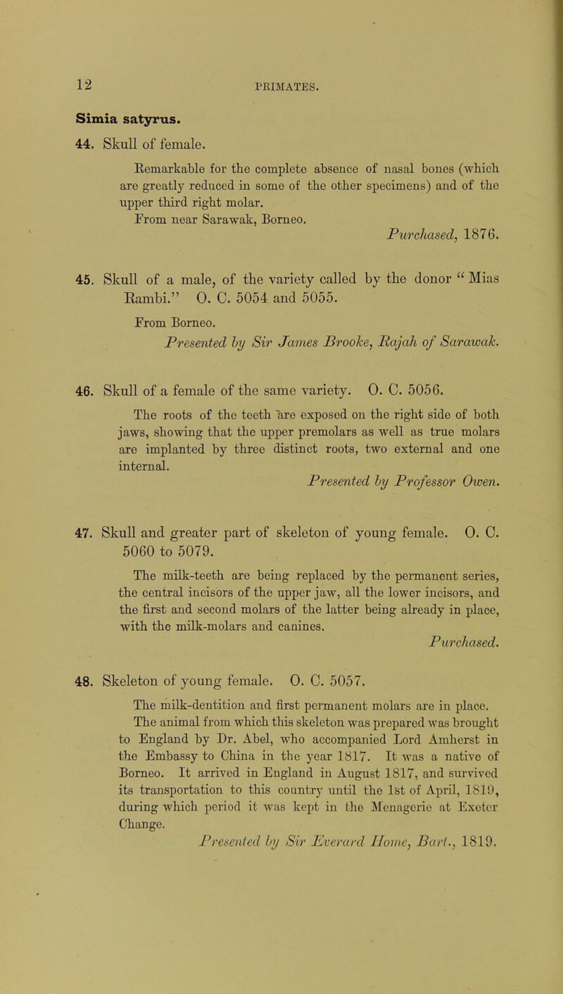 Simia satyrus. 44. Skull of female. Eemarkable for the complete absence of nasal bones (which, are greatly reduced in some of the other specimens) and of the upper third right molar. From near Sarawak, Borneo. Purchased, 1876. 45. Skull of a male, of the variety called by the donor  Mias Eambi. 0. C. 5054 and 5055. From Borneo. Presented by Sir James Brooke, Rajah of Sarawak. 46. Skull of a female of the same variety. 0. C. 5056. The roots of the teeth are exposed on the right side of both jaws, showing that the upper premolars as well as true molars are implanted by three distinct roots, two external and one internal. Presented by Professor Owen. 47. Skull and greater part of skeleton of young female. 0. 0. 5060 to 5079. The milk-teeth are being replaced by the permanent series, the central incisors of the upper jaw, all the lower incisors, and the first and second molars of the latter being already in place, with the milk-molars and canines. Purchased. 48. Skeleton of young female. 0. C. 5057. The milk-dentition and first permanent molars are in place. The animal from which this skeleton was prepared was brought to England by Dr. Abel, who accompanied Lord Amherst in the Embassy to China in the year 1817. It was a native of Borneo. It arrived in England in August 1817, and survived its transportation to this country until the 1st of April, 1819, during which period it was kept in the Menagerie at Exeter Change. Presented by Sir Everard Home, Bart., 1819.