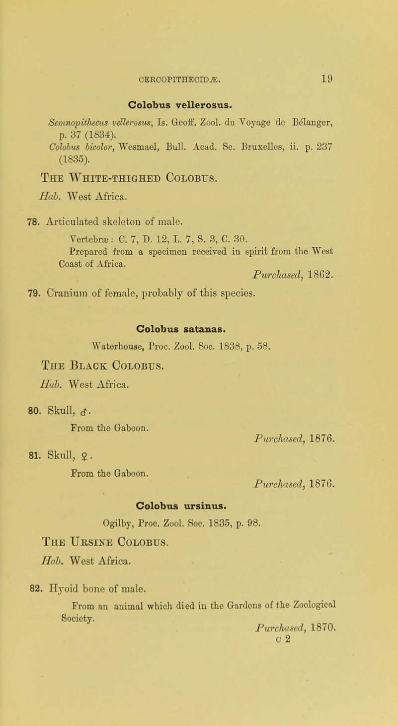 Colobus vellerosus. Semnopiihecus vellerosus, Is. Geoff. Zool. du Voyage de Belanger, p. 37 (1834). Colobus bicolor, Wesmael, Bull. Acad. Sc. Bruxelles, ii. p. 237 (1835). The White-thighed Colobus. Hub, West Africa. 78. Articulated skeleton of male. Vertebras: C. 7, D. 12, L. 7, S. 3, C. 30. Prepared from a specimen received in spirit from the West Coast of Africa. Purchased, 1862. 79. Cranium of female, probably of this species. Colobus satanas. Waterhouae, Proc. Zool. Soc. 1838, p. 58. The Black Colobus. Hub. West Africa. 80. Skull, j. From the Gaboon. Purchased, 1876. 81. Skull, 2- Prom the Gaboon. Purchased, 1876. Colobus ursinus. Ogilby, Proc. Zool. Soc. 1835, p. 98. The Ursine Colobus. I lab. West Africa. 82. Hyoid bone of male. From an animal which diod in tho Gardons of the Zoological Society. Purchased, 1870. C 2