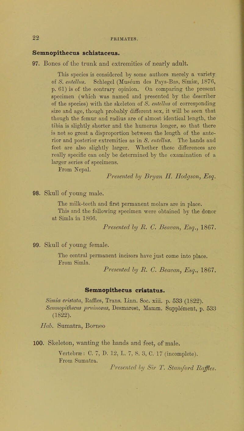 Semnopithecus schistaceus. 97. Bones of the trunk and extremities of nearly adult. This species is considered by some authors merely a variety of S. entellus. Schlegel (Museum des Pays-Bas, Simiee, 1876, p. 61) is of the contrary opinion. On comparing the present specimen (which was named and presented by the describer of the species) with the skeleton of S. entellus of corresponding size and age, though probably different sex, it will be seen that though the femur and radius are of almost identical length, the tibia is slightly shorter and the humerus longer, so that there is not so great a disproportion between the length of the ante- rior and posterior extremities as in S. entellus. The hands and feet are also slightly larger. Whether these differences are really specific can only be determined by the examination of a larger series of specimens. From Nepal. Presented by Bryan H. Hodgson, Esq. 98. Skull of young male. The milk-teeth and first permanent molars are in place. This and the following specimen were obtained by the donor at Simla in 1866. Presented by R. C. Beavan, Esq., 1867. 99. Skull of young female. The central permanent incisors have just come into place. From Simla. Presented by R. C. Beavan, Esq., 1867. Semnopithecus cristatus. Simia cristata, Eaffl.es, Trans. Linn. Soc. xiii. p. 533 (1822). Semnopithecus pruinosus, DeBmarest, Mamm. Supplement, p. 533 (1822). J lab. Sumatra, Borneo 100. Skeleton, wanting the hands and feet, of male Vertebrae: C. 7, D. 12, L. 7, S. 3, C. 17 (incomplete). From Sumatra. Presented by Sir T. Stamford Raffles.