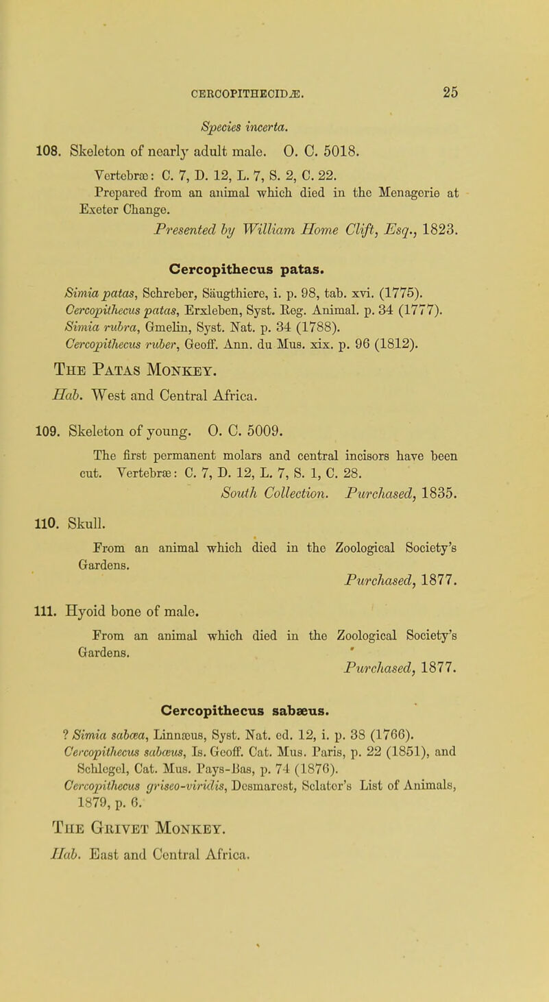 Species incerta. 108. Skeleton of nearly adult male. 0. C. 5018. Vertebrco: C. 7, D. 12, L. 7, S. 2, C. 22. Prepared from an animal which died in the Menagerie at Exeter Change. Presented by William Home Clift, Esq., 1823. Cercopithecus patas. Simia patas, Sehreber, Siiugthiere, i. p. 98, tab. xvi. (1775). Cercopithecus patas, Erxleben, Syst. Reg. Animal, p. 34 (1777). Simia rubra, Gmelin, Syst. Nat. p. 34 (1788). Cercopithecus ruber, Geoff. Ann. du Mus. xix. p. 96 (1812). The Patas Monkey. Hab. West and Central Africa. 109. Skeleton of young. 0. C. 5009. The first permanent molars and central incisors have been cut. Vertebrae: C. 7, D. 12, L. 7, S. 1, C. 28. South Collection. Purchased, 1835. 110. Skull. Prom an animal -which died in the Zoological Society's Gardens. Purchased, 1877. 111. Hyoid bone of male. From an animal which died in the Zoological Society's Gardens. Purchased, 1877. Cercopithecus sabaeus. ? Simia sabcea, Linnams, Syst. Nat. cd. 12, i. p. 38 (1766). Cercopithecus sabceus, Is. Geoff. Cat. Mus. Paris, p. 22 (1851), and Schlegel, Cat. Mus. Pays-Has, p. 74 (1876). Cercopithecus (jriseo-viridis, Dcsinarest, delator's List of Animals, 1879, p. 6. The Guivet Monkey. Hub. East and Central Africa.