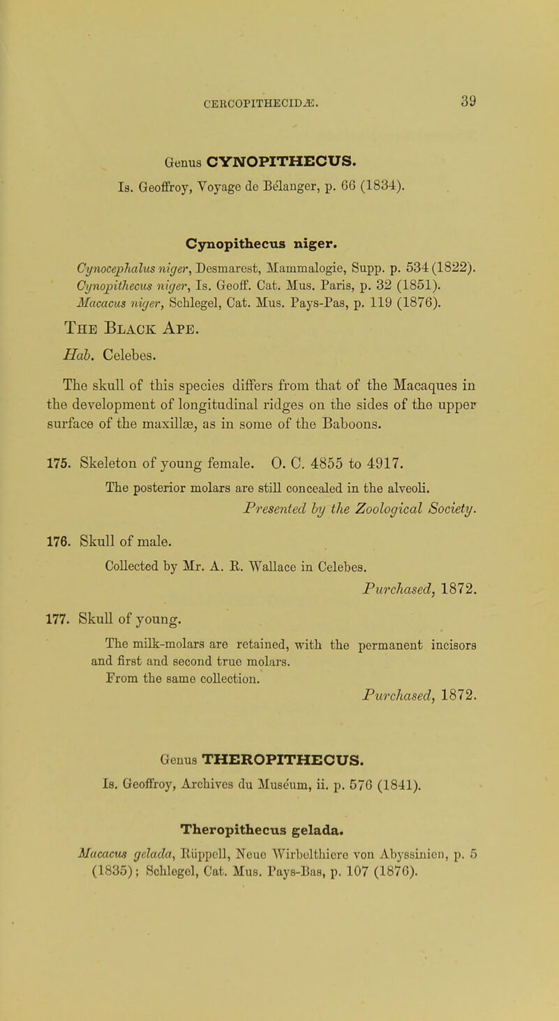 Genus CYNOPITHECUS. Is. Geoffroy, Voyage de Belanger, p. 66 (1834). Cynopithecus niger. Cgnocephalus niger, Desmarest, Mainmalogie, Supp. p. 534(1822). Cynopithecus niger, Is. Geoff. Cat. Mus. Paris, p. 32 (1851). Macacus niger, Schlegel, Cat. Mus. Pays-Pas, p. 119 (1876). The Black Ape. Hab. Celebes. The skull of this species differs from that of the Macaques in the development of longitudinal ridges on the sides of the upper surface of the maxiltee, as in some of the Baboons. 175. Skeleton of young female. 0. C. 4855 to 4917. The posterior molars are still concealed in the alveoli. Presented by the Zoological Society. 176. Skull of male. Collected by Mr. A. R. Wallace in Celebes. Purchased, 1872. 177. Skull of young. The milk-molars are retained, with the permanent incisors and first and second true molars. From the same collection. Purchased, 1872. Genus THEROPITHEOUS. Is. Geoffroy, Archives du Museum, ii. p. 576 (1841). Theropithecus gelada. Macacus gelada, Riippell, Neuc Wirbolthicro von Abyssinicu, p. 5 (1835); Schlegel, Cat. Mus. Pays-Bas, p. 107 (1876).