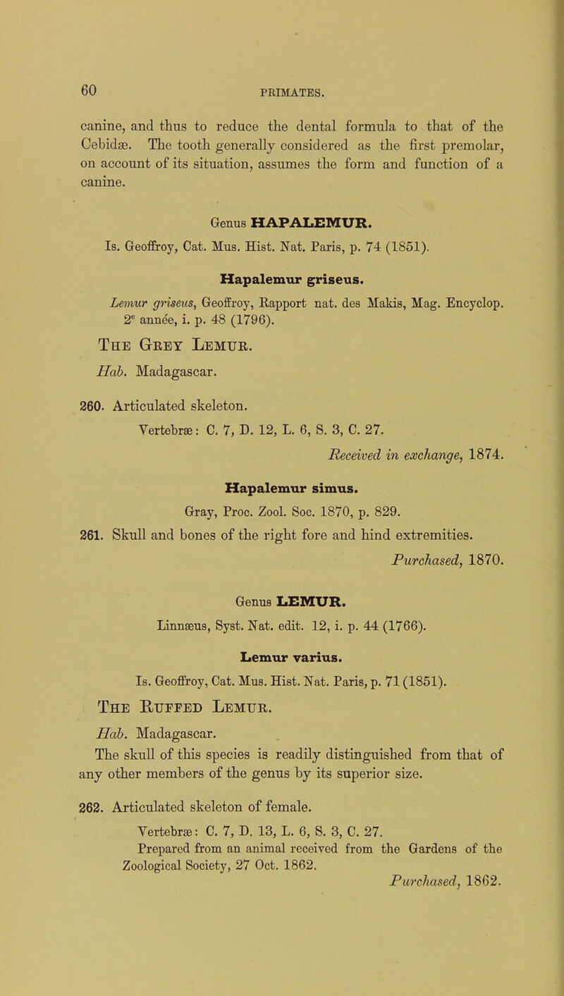 canine, and thus to reduce the dental formula to that of the Cebidse. The tooth generally considered as the first premolar, on account of its situation, assumes the form and function of a canine. Genus HAPALEMUR. Is. Geoffroy, Cat. Mus. Hist. Nat. Paris, p. 74 (1851). Hapalemur griseus. Lemur griseus, Geoffroy, Rapport nat. des Makis, Mag. Encyclop. 2e annee, i. p. 48 (1796). The Gkbt Lemur. Hah. Madagascar. 260. Articulated skeleton. Vertebra: C. 7, D. 12, L. 6, S. 3, C. 27. Received in exchange, 1874. Hapalemur simus. Gray, Proc. Zool. Soc. 1870, p. 829. 261. Skull and bones of the right fore and hind extremities. Purchased, 1870. Genus LEMUR. Linnseus, Syst. Nat. edit. 12, i. p. 44 (1766). Lemur varius. Is. Geoffroy, Cat. Mus. Hist. Nat. Paris, p. 71 (1851). The Ruffed Lemur. Hah. Madagascar. The skull of this species is readily distinguished from that of any other members of the genus by its superior size. 262. Articulated skeleton of female. Vertebra?: C. 7, D. 13, L. 6, S. 3, C. 27. Prepared from an animal received from the Gardens of the Zoological Society, 27 Oct. 1862. Purchased, 1862.
