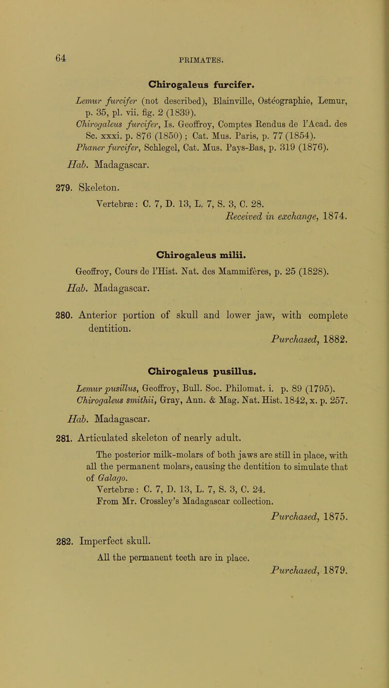 Chirogaleus furcifer. Lemur furcifer (not described), Blainville, Osteographie, Lemur, p. 35, pi. vii. fig. 2 (1839). Chirogaleus furcifer, Is. Geoffrey, Comptes Rendus de l'Acad. des Sc. xxxi. p. 876 (1850) ; Cat. Mus. Paris, p. 77 (1854). PJianer furcifer, Schlegel, Cat. Mus. Pays-Bas, p. 319 (1876). Hab. Madagascar. 279. Skeleton. Vertebra: C. 7, D. 13, L. 7, S. 3, C. 28. Received in exchange, 1874. Chirogaleus milii. Geoffroy, Cours de l'Hist. Nat. des Mammiferes, p. 25 (1828). Hab. Madagascar. 280. Anterior portion of skull and lower jaw, with complete dentition. Purchased, 1882. Chirogaleus pusillus. Lemur pusillus, Geoffroy, Bull. Soc. Philomat. i. p. 89 (1795). Chirogaleus smithii, Gray, Ann. & Mag. Nat. Hist. 1842, x. p. 257. Hab. Madagascar. 281. Articulated skeleton of nearly adult. Tbe posterior milk-molars of botb jaws are still in place, witb all tbe permanent molars, causing tbe dentition to simulate tbat of Galago. Vertebne: C. 7, D. 13, L. 7, S. 3, C. 24. From Mr. Crossley's Madagascar collection. Purchased, 1875. 282. Imperfect skull. All tbe permanent teeth are in place. Purchased, 1879.