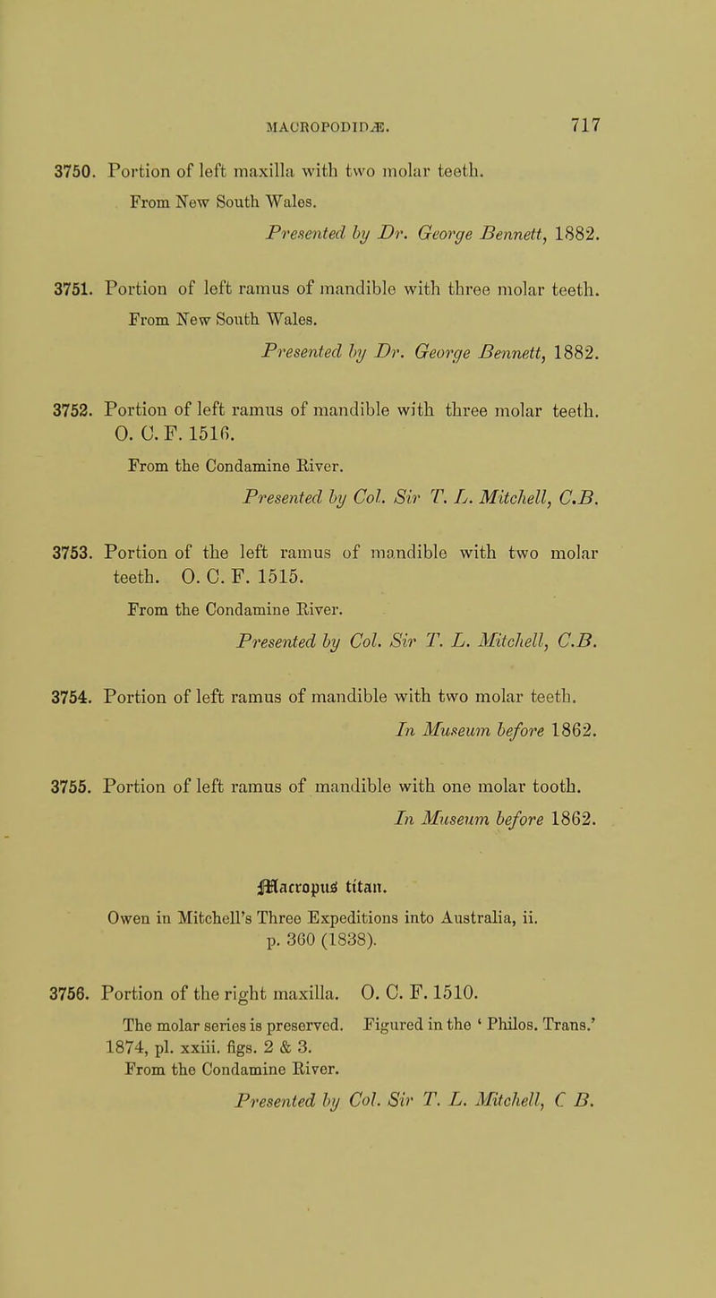 3750. Portion of left maxilla with two molar teeth. From New South Wales. Presented by Dr. George Bennett, 1882. 3751. Portion of left ramus of mandible with three molar teeth. From New South Wales. Presented by Dr. George Bennett, 1882. 3752. Portion of left ramus of mandible with three molar teeth. 0. C.F. 151fi. From the Condamine Eiver. Presented by Col Sir T. L. Mitchell, C.B. 3753. Portion of the left ramus of mandible with two molar teeth. 0. C. F. 1515. From the Condamine River. Presented by Col. Sir T. L. Mitchell, C.B. 3754. Portion of left ramus of mandible with two molar teeth. In Museum before 1862. 3755. Portion of left ramus of mandible with one molar tooth. In Museum before 1862. JHacropttsi tttan. Owen in Mitchell's Three Expeditions into Australia, ii. p. 360 (1838). 3756. Portion of the right maxilla. 0. C. F. 1510. The molar series is preserved. Figured in the ' Philos. Trans.' 1874, pi. xxiii. figs. 2 & 3. From the Condamine River.
