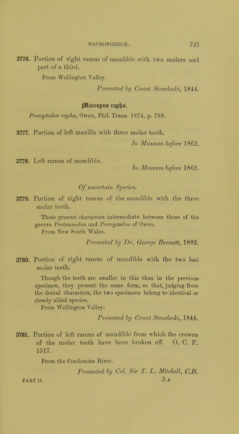 3776. Portion of right ramus of mandible with two molars and part of a third. From Wellington Valley. Presented by Count Strzelecki, 1844. ;HHncvopu£f rapfia. Procoptodon rapha, Owen, Phil. Trans. 1874, p. 788. 3777. Portion of left maxilla with three molar teeth. In Museum before 1862. 3778. Left ramus of mandible. In Museum before 1862. Of uncertain Species. 3779. Portion of right ramus of the mandible with the throe molar teeth. These present characters intermediate between those of the genera Protemnodon and Procoptodon of Owen. From New South Wales. Presented by Dr. George Bennett, 1882. 3780. Portion of right ramus of mandible with the two last molar teeth. Though the teeth are smaller in this than in the previous specimen, they present the same form, so that, judging from the dental characters, the two specimens belong to identical or closely allied species. From Wellington Valley. Presented by Count Strzelecki, 1844. 3781. Portion of left ramus of mandible from which the crowns of the molar teeth have been broken off. 0. C. F. 1517. From the Condamine River. Presented by Col. Sir T. L. Mitchell, C.B. PART II. 3 A