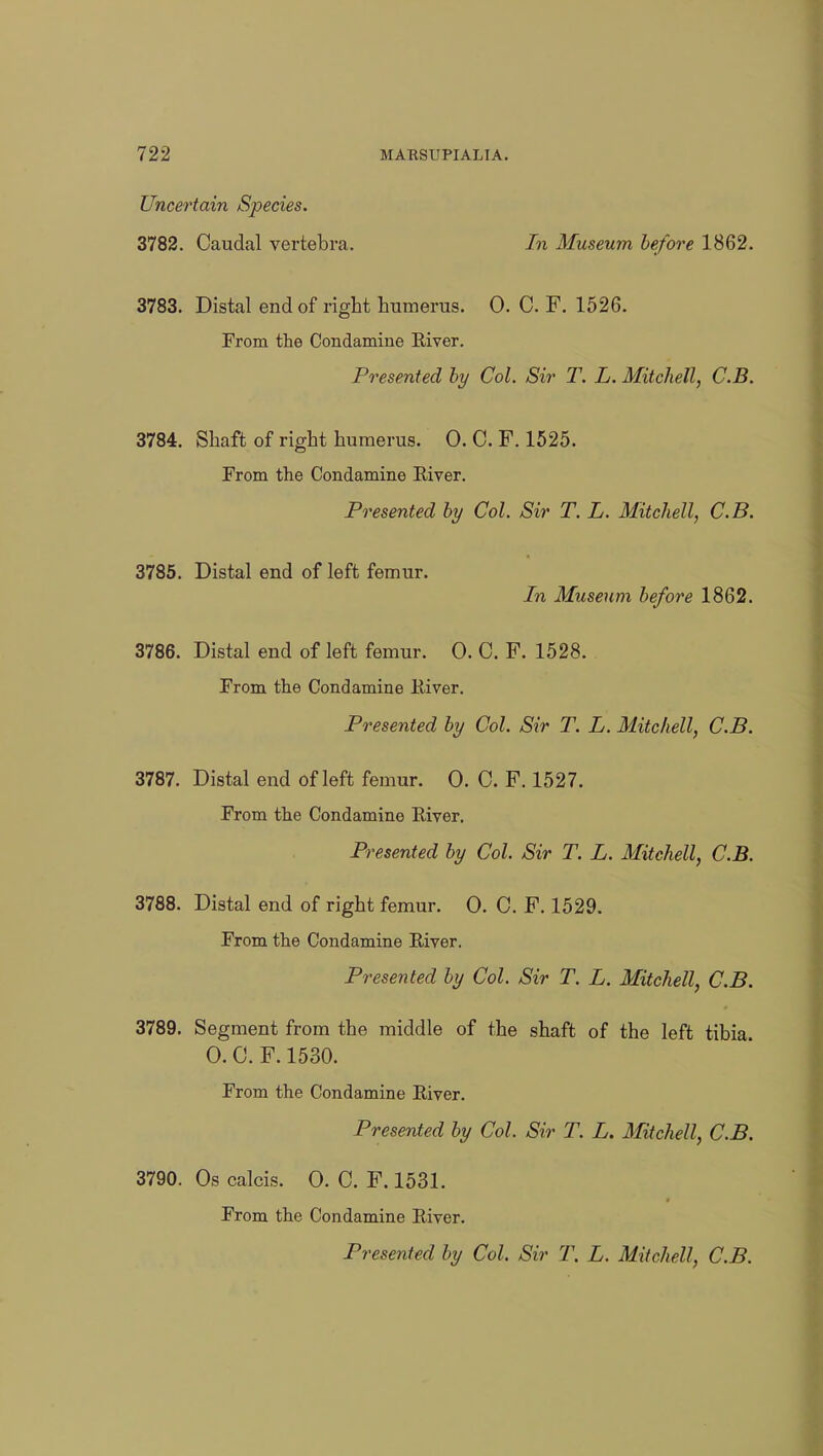 Uncertain Species. 3782. Caudal vertebra. In Museum before 1862. 3783. Distal end of right humerus. 0. 0. F. 1526. From the Condamine River. Presented by Col. Sir T. L. Mitchell, C.B. 3784. Shaft of right humerus. O.C.F. 1525. From the Condamine River. Presented by Col. Sir T. L. Mitchell, C.B. 3785. Distal end of left femur. In Museum before 1862. 3786. Distal end of left femur. 0. C. F. 1528. From the Condamine River. Presented by Col. Sir T. L. Mitchell, C.B. 3787. Distal end of left femur. 0. C. F. 1527. From the Condamine River. Presented by Col. Sir T. L. Mitchell, C.B. 3788. Distal end of right femur. 0. C. F. 1529. From the Condamine River. Presented by Col. Sir T. L. Mitchell, C.B. 3789. Segment from the middle of the shaft of the left tibia. 0. C. F. 1530. From the Condamine River. Presented by Col. Sir T. L. Mitchell, C.B. 3790. Os calcis. 0. C. F. 1531. From the Condamine River.