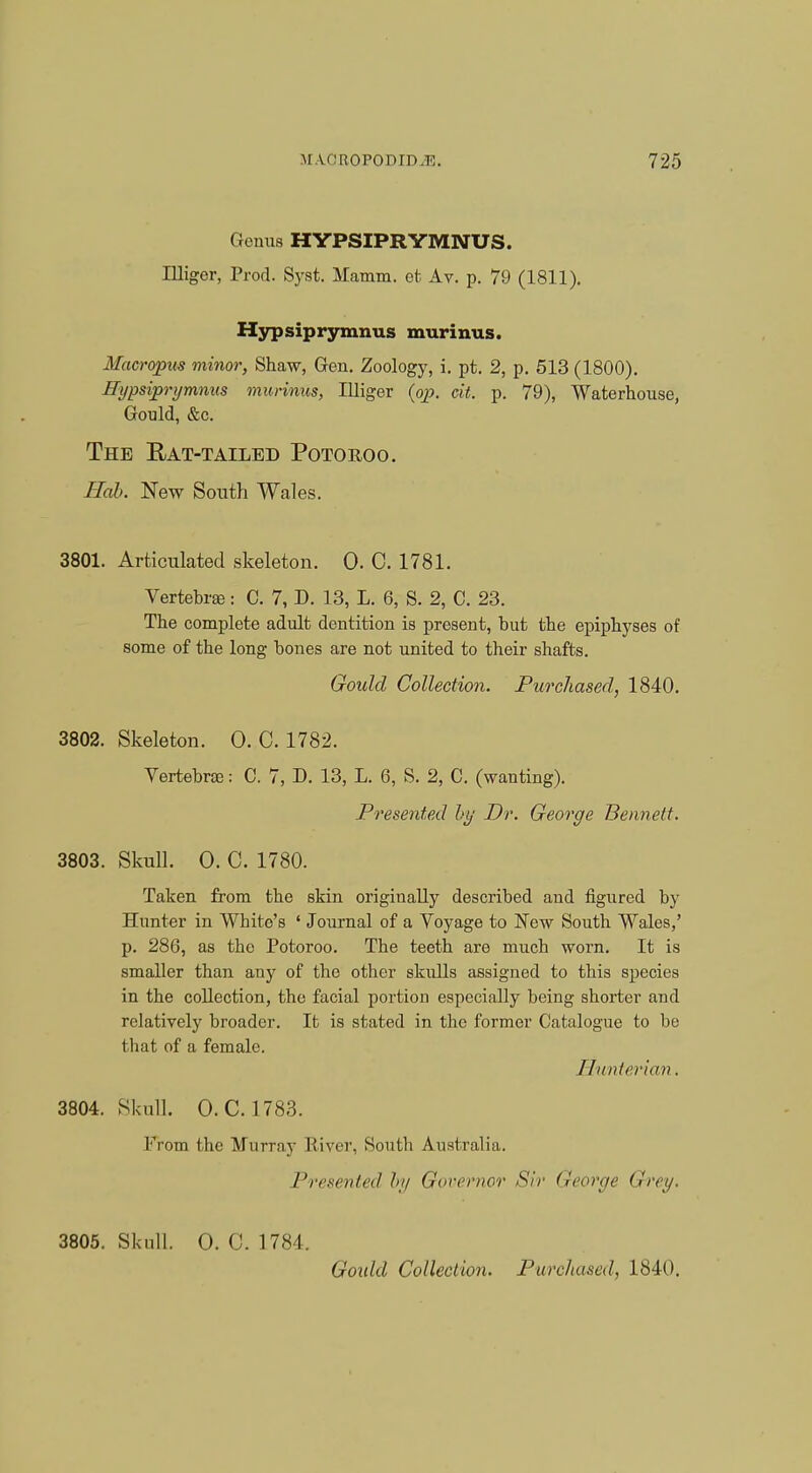 Genus HYPSIPRYMNUS. Illiger, Prod. Syst. Mamm. et Av. p. 79 (1811). Hypsiprymnus murinus. Macropus minor, Shaw, Gen. Zoology, i. pt. 2, p. 513 (1800). Hypsiprymnus murinus, Illiger {op. cit. p. 79), Waterhouse, Gould, &c. The Rat-tailed Potoroo. Hah. New South Wales. 3801. Articulated skeleton. 0. C. 1781. Vertebras: C. 7, D. 13, L. 6, S. 2, C. 23. The complete adult dentition is present, but the epiphyses of some of the long hones are not united to their shafts. Gould Collection. Purchased, 1840. 3802. Skeleton. O. C. 1782. Vertebrae: C. 7, D. 13, L. 6, S. 2, C. (wanting). Presented by Dr. George Bennett. 3803. Skull. O. C. 1780. Taken from the skin originally described and figured by Hunter in White's ' Journal of a Yoyage to New South Wales,' p. 286, as the Potoroo. The teeth are much worn. It is smaller than any of the other skulls assigned to this species in the collection, the facial portion especially being shorter and relatively broader. It is stated in the former Catalogue to be that of a female. Hunterian. 3804. Skull. O.C.I783. From the Murray River, South Australia. Presented by Governor Sir George Grey. 3805. Skull. O. C. 1784. Goidd Collection. Purchased, 1840.