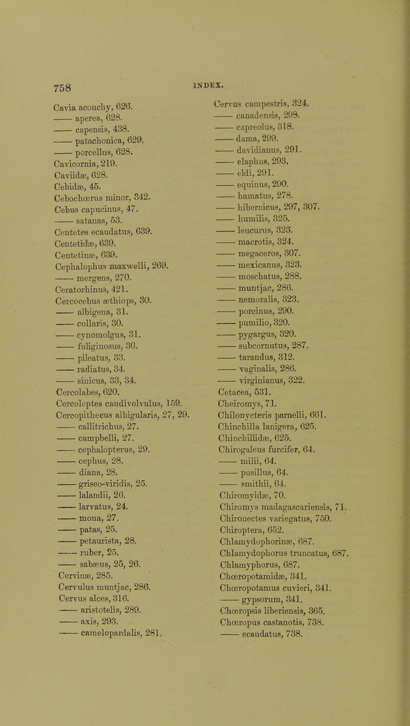 Cavia acouchy, 626. aperea, 628. capensis, 438. patacbonica, 629. porcellus, 628. Cavicornia, 219. Caviidae, 628. Cebidae, 45. Cebocboerua minor, 342. Cebus capucinus, 47. satanas, 53. Centetes ecaudatus, 639. Centetidse, 639. Centetinae, 639. Cepbalopbus maxwelli, 269. mergens, 270. Ceratorhinus, 421. Cercocebus setbiops, 30. albigena, 31. collaris, 30. cynomolgus, 31. fubgmosus, 30. pileatus, 33. radiatus, 34. amicus, 33, 34. Cercolabes, 620. Cercoleptes caudivohulus, 159. Cercopithecus albigularis, 27, 29. callitricbus, 27. campbelli, 27. cepbalopterus, 29. cephus, 28. diana, 28. griseo-viridis, 25. lalandii, 26. larvatus, 24. mona, 27. patas, 25. petaurista, 28. ruber, 25. sabarns, 25, 26. Cervinse, 285. Cervulus muntjac, 286. Oervus alces, 316. aristotelis, 289. axis, 293. camelopardalis, 281. INDEX. Uervus carupestris, 324. canadensis, 298. capreolus, 318. dama, 299. davidianus, 291. elapbus, 293. eldi, 291. equiaus, 290. hamatus, 278. bibemicus, 297, 307. humilis, 325. leucurus, 323. macrotis, 324. megaceros, 307. mexicanus, 323. moscbatus, 288. muntjac, 286. nemoralis, 323. porcinus, 290. pumilio, 320. pygargus, 320. subcornutus, 287. tarandus, 312. vaginalis, 286. virginianus, 322. Cetacea, 531. Cbeiromys, 71. Cbilonycteris parnelli, 661. Cbincbilla lanigera, 625. Cbincbillidfe, 625. Cbirogaleus furcifer, 64. milii, 64. pusillus, 64. smitbii, 64. Cbiromyidse, 70. Cbiromys madagascariensis, 7] Cbironectes variegatus, 750. Cbiroptera, 652. Cklamydopborinse, 687. Chlamydopborus truncatus, 68 Chlamypborus, 687. Cbceropotamidae, 341. Ohceropotamus cuvieri, 341. gypsorum, 341. Cboeropsis liberiensis, 365. Cbceropus castanotis, 738. ecaudatus, 738.