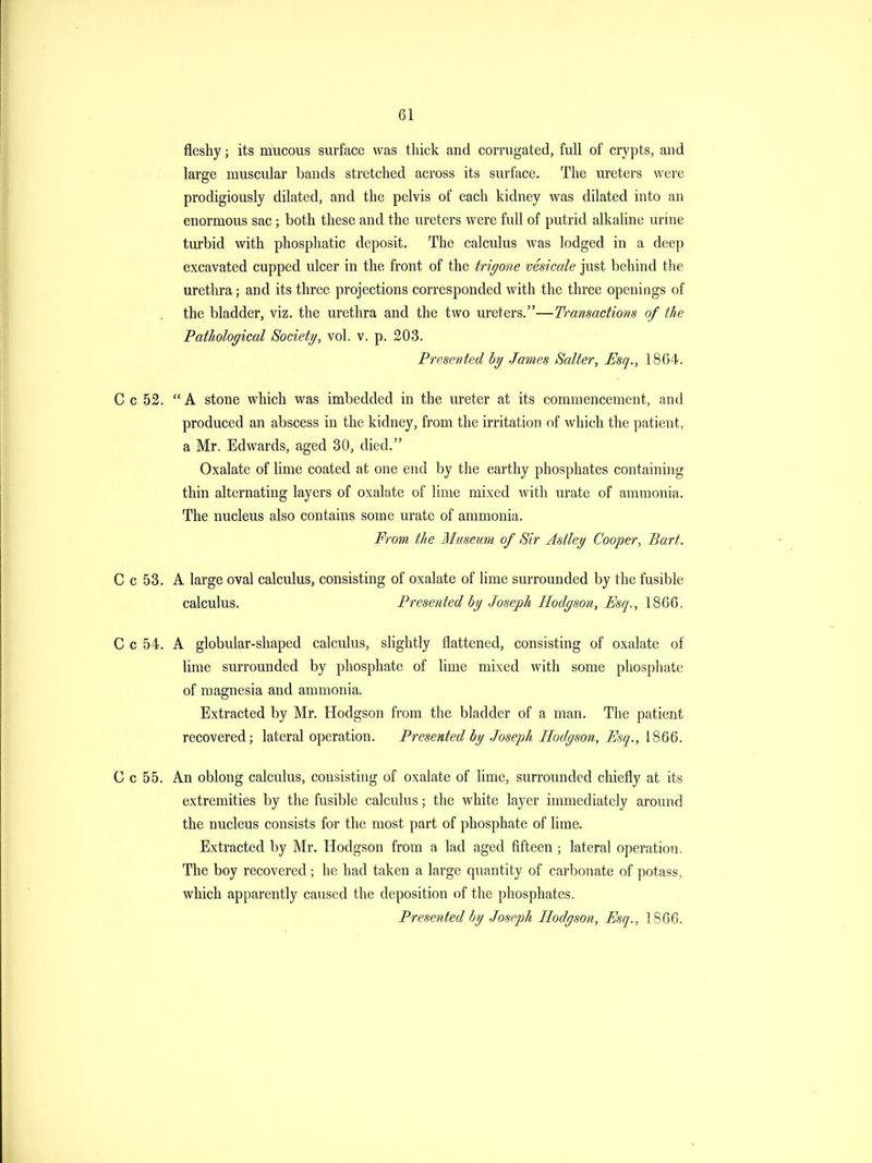 fleshy; its mucous surface was thick and corrugated, full of crypts, and large muscular bands stretched across its surface. The ureters were prodigiously dilated, and the pelvis of each kidney was dilated into an enormous sac; both these and the ureters were full of putrid alkaline urine turbid with phosphatic deposit. The calculus was lodged in a deep excavated cupped ulcer in the front of the trigone vesicate just behind the urethra; and its three projections corresponded with the three openings of the bladder, viz. the urethra and the two ureters.—Transactions of the Pathological Society, vol. v. p, 203. Presented by James Salter, Esq., 1864. C c 52. A stone which was imbedded in the ureter at its commencement, and produced an abscess in the kidney, from the irritation of which the patient, a Mr. Edwards, aged 30, died. Oxalate of lime coated at one end by the earthy phosphates containing thin alternating layers of oxalate of lime mixed with urate of ammonia. The nucleus also contains some urate of ammonia. From the Museum of Sir Astley Cooper, Part. C c 53. A large oval calculus, consisting of oxalate of lime surrounded by the fusible calculus. Presented by Joseph Hodgson, Esq., 1866. C c 54. A globular-shaped calculus, slightly flattened, consisting of oxalate of lime surrounded by phosphate of lime mixed with some phosphate of magnesia and ammonia. Extracted by Mr. Hodgson from the bladder of a man. The patient recovered; lateral operation. Presented by Joseph Hodgson, Esq., 1866. C c 55. An oblong calculus, consisting of oxalate of lime, surrounded chiefly at its extremities by the fusible calculus; the white layer immediately around the nucleus consists for the most part of phosphate of lime. Extracted by Mr, Hodgson from a lad aged fifteen ; lateral operation. The boy recovered; he had taken a large quantity of carbonate of potass, which apparently caused the deposition of the phosphates. Presented by Joseph Hodgson, Esq., 1866.