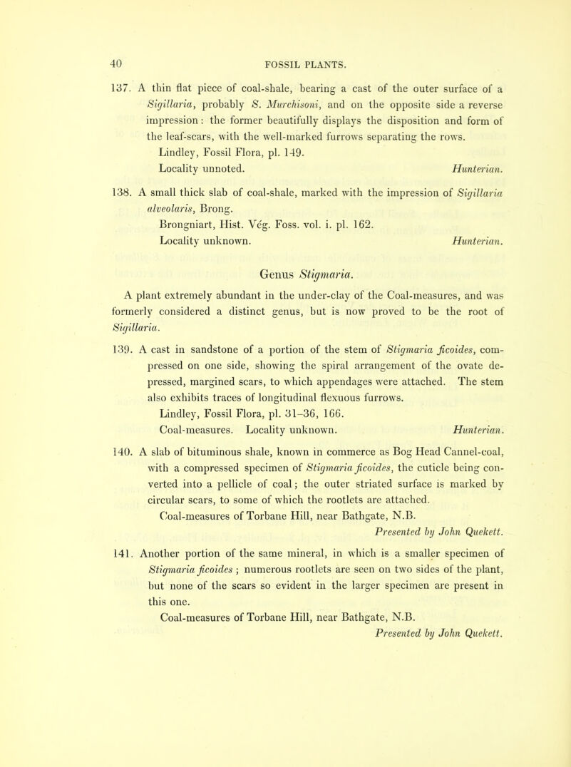 137. A thin flat piece of coal-shale, bearing a cast of the outer surface of a Sigillaria, probably /S. Murchisoni, and on the opposite side a reverse impression: the former beautifully displays the disposition and form of the leaf-scars, with the well-marked furrows separating the rows. Lindley, Fossil Flora, pi. 149. Locality unnoted. Hunterian. 138. A small thick slab of coal-shale, marked with the impression of Sigillarin alveolaris, Brong. Brongniart, Hist. Veg. Foss. vol. i. pi. 162. Locality unknown. Hunterian. Genus Stigmaria. A plant extremely abundant in the under-clay of the Coal-measures, and was formerly considered a distinct genus, but is now proved to be the root of Sigillaria. 139. A cast in sandstone of a portion of the stem of Stigmaria Jicoides, com- pressed on one side, showing the spiral arrangement of the ovate de- pressed, margined scars, to which appendages were attached. The stem also exhibits traces of longitudinal flexuous furrows. Lindley, Fossil Flora, pi. 31-36, 166. Coal-measures. Locality unknown. Hunterian. 140. A slab of bituminous shale, known in commerce as Bog Head Cannel-coal, with a compressed specimen of Stigmaria Jicoides, the cuticle being con- verted into a pellicle of coal; the outer striated surface is marked by circular scars, to some of which the rootlets are attached. Coal-measures of Torbane Hill, near Bathgate, N.B. Presented by John Quekett. 141. Another portion of the same mineral, in which is a smaller specimen of Stigmaria Jicoides ; numerous rootlets are seen on two sides of the plant, but none of the scars so evident in the larger specimen are present in this one. Coal-measures of Torbane Hill, near Bathgate, N.B. Presented by John Quekett.