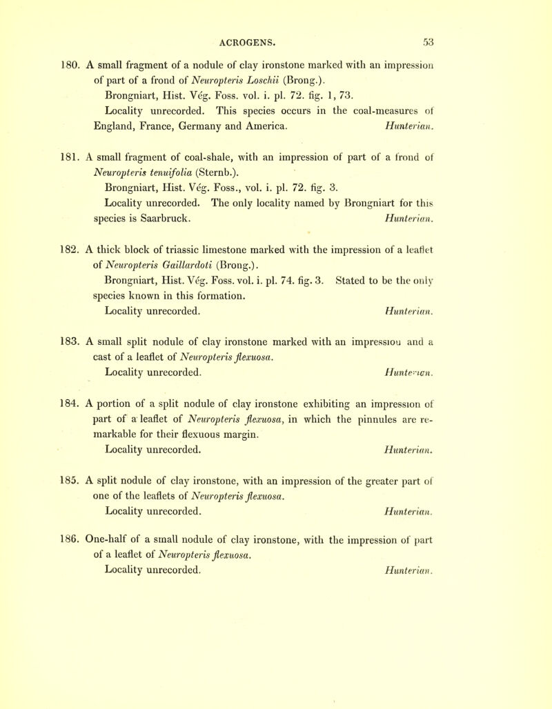 180. A small fragment of a nodule of clay ironstone marked with an impression of part of a frond of Neuropteris Loschii (Brong.). Brongniart, Hist. Veg. Foss. vol. i, pi. 72. fig. 1, 73. Locality unrecorded. This species occurs in the coal-measures of England, France, Germany and America. Hunterimi. 181. A small fragment of coal-shale, with an impression of part of a frond of Neuropteris tenuifolia (Sternb.). Brongniart, Hist. Veg. Foss., vol. i. pi. 72. fig. 3. Locality unrecorded. The only locality named by Brongniart for this species is Saarbruck. Hunterian. ♦ 182. A thick block of triassic limestone marked with the impression of a leaflet of Neuropteris Gaillardoti (Brong.). Brongniart, Hist. Veg. Foss. vol. i. pi. 74. fig. 3. Stated to be the only species known in this formation. Locality unrecorded. Hunterian. 183. A small split nodule of clay ironstone marked with an impressiou and a cast of a leaflet of Neuropteris Jiexuosa. Locality unrecorded. Hunte- mi. 184. A portion of a split nodule of clay ironstone exhibiting an impression of part of a leaflet of Neuropteris Jiexuosa, in which the pinnules are re- markable for their flexuous margin. Locality unrecorded. Hunterian. 185. A split nodule of clay ironstone, with an impression of the greater part of one of the leaflets of A^eMro/j^m's^eraosa. Locality unrecorded. Hunterian. 186. One-half of a small nodule of clay ironstone, with the impression of part of a leaflet of Neuropteris jiexuosa.