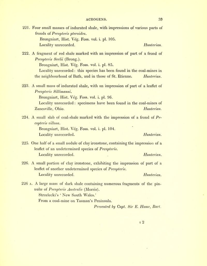 221. Four small masses of indurated shale, with impressions of various parts of fronds of Pecopteris pteroides. Brongniart, Hist. Veg. Foss. vol. i. pi. 105. Locality unrecorded. Hunterian. 222. A fragment of red shale marked with an impression of part of a frond of Pecopteris Serlii (Brong.). Brongniart, Hist. Veg. Foss. vol. i. pi. 85. Locality unrecorded : this species has been found in the coal-mines in the neighbourhood of Bath, and in those of St. Etienne. Hunterian. 223. A small mass of indurated shale, with an impression of part of a leaflet of Pecopteris Sillimanni. Brongniart, Hist. Veg. Foss. vol. i. pi. 96. Locality unrecorded : specimens have been found in the coal-mines of Zanesville, Ohio. Hunterian. 224. A small slab of coal-shale marked with the impression of a frond of Pe- copteris villosa. Brongniart, Hist. Veg. Foss. vol. i. pi. 104. Locality unrecorded. Hunterian. 225. One half of a small nodule of clay ironstone, containing the impression of a leaflet of an undetermined species of Pecopteris. Locality unrecorded. Hunterian, 226. A small portion of clay ironstone, exhibiting the impression of part of a leaflet of another undetermined species of Pecopteris. Locality unrecorded. Hunterian. 226 A. A large mass of dark shale containing numerous fragments of the pin- nultE of Pecopteris Australis (Morris). Strzelecki's ' New South Wales.' From a coal-mine on Tasman's Peninsula. Presented by Capt. Sir E. Home, Bart. 1 2