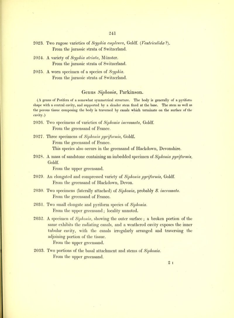 2023. Two rugose varieties Scyphia oiijdeura, Goldf. {VentricuUda^). From tlie jurassic strata of Switzerland. 2024. A variety of Scyplda striata, Mimster. From the jm'assic strata of Switzerland. 2025. A worn specimen of a species of ScypJda. From the jm^assic strata of Switzerland. Genus Siphonia, Parkinson. (A genus of Porifera of a somewhat symmetrical structure. The body is generally of a pyrifortn shape with a central cavity, and supported by a slender stem fixed at the base. The stem as well as the porous tissue composing the body is traversed by canals which terminate on the surface of the cavity.) 2026. Two specimens of varieties of S/p/ionia incrassata, Goldf. From the greensand of France. 2027. Three specimens oi Siplioniapyriformis, Goldf. From the greensand of France. This species also occurs in the greensand of Blackdown, Devonshire. 2028. A mass of sandstone containing an imbedded specimen of Siphoniapyriformis, Goldf. From the upper greensand. 2029. An elongated and compressed variety of Siphoniapyriformis, Goldf. From the greensand of Blackdown, Devon. 2030. Two specimens (laterally attached) of Siphonia, probably S. incrassata. From the greensand of France. 203 1. Two small elongate and pyriform species of Siphonia. From the upper greensand; locality unnoted. 2032. A specimen of Slpihonia, showing the outer surface ; a broken portion of the same exhibits the radiating canals, and a weathered cavity exposes the inner tubular cavity, with the canals irregularly arranged and traversing the adjoining portion of the tissue. From the upper greensand. 2033. Two portions of the basal attachment and stems of Siphonia. From the upper greensand. 2 I