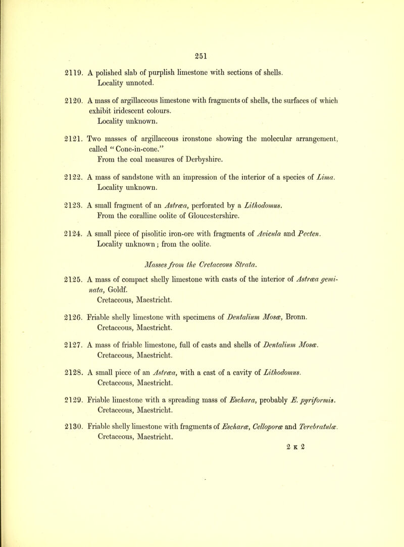 2119. A polished slab of purplish limestone with sections of shells. Locality unnoted. 2120. A mass of argillaceous Hmestone with fragments of shells, the surfaces of which exhibit iridescent colours. Locality imknown. 2121. Two masses of argillaceous ironstone showing the molecular arrangement, called  Cone-in-cone. From the coal measures of Derbyshire. 2122. A mass of sandstone with an impression of the interior of a species of Lmia. Locality unknown. 2123. A small fragment of an Astraa, perforated by a LitJiodomus. From the coralline oolite of Gloucestershire. 2124. A small piece of pisolitic iron-ore with fragments of Avicula and Pecten. Locality unknown; from the oolite. Masses from the Cretaceous Strata. 2125. A mass of compact shelly limestone with casts of the interior of Astraa gemi- nata, Goldf. Cretaceous, Maestricht. 2126. Friable shelly limestone with specimens of Bentalium Mos(b, Bronn, Cretaceous, Maestricht. 2127. A mass of friable limestone, full of casts and shells of Dentaliim Mosce. Cretaceous, Maestricht. 2128. A small piece of an AstrcBa, with a cast of a cavity of LitJiodomus. Cretaceous, Maestricht. 2129. Friable limestone with a spreading mass of Eschar a, probably E. piriformis. Cretaceous, Maestricht. 2130. Friable shelly limestone with fragments of Escharce, Celloporoe and Terebratuloe. Cretaceous, Maestricht, 2 K 2