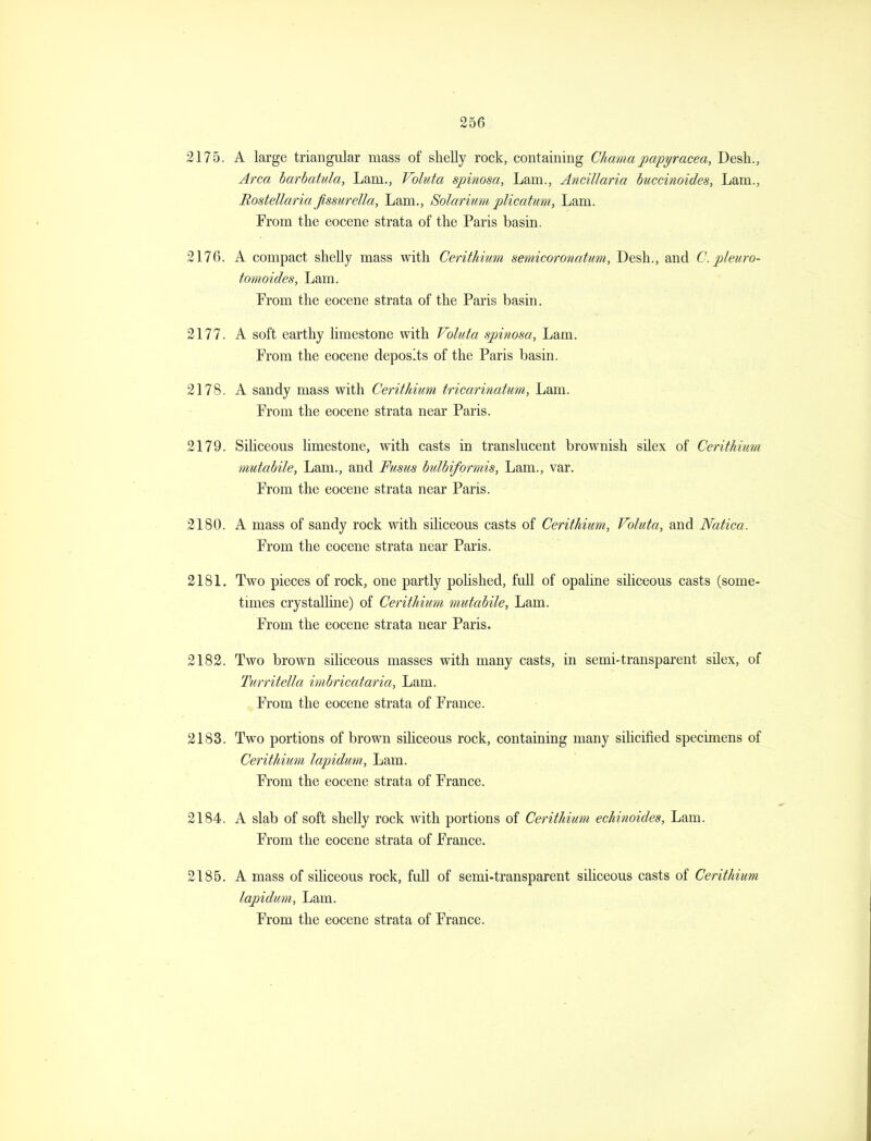 2175. A large triangular mass of shelly rock, containing Chamajpapyracea, Desh., Area harhatula. Lam., Voluta spinosa. Lam., Ancillaria buccinoides, Lam., Rostellaria fissurella, Lam., Solarium plicatum. Lam. From the eocene strata of the Paris basin. 2176. A compact shelly mass with Cerithium semicoronatum, Desh., and C. pleuro- tomoides, Lam. From the eocene strata of the Paris basin. 2177. A soft earthy limestone with Voluta spinosa, Lam. From the eocene deposits of the Paris basin. 2178. A sandy mass with Cerithium tricarinatum, Lam. From the eocene strata near Paris. 2179. SiUceous limestone, with casts in translucent brownish silex of Cerithium mutahile. Lam., and Fusus bulbiformis, Lam., var. From the eocene strata near Paris. 2180. A mass of sandy rock with siliceous casts of Cerithium, Voluta, and Natiea. From the eocene strata near Paris. 2181. Two pieces of rock, one partly poUslied, full of opaline siliceous casts (some- tmies crystalline) of Cerithium mutabile. Lam. From the eocene strata near Paris. 2182. Two brown sihceous masses with many casts, in semi-transparent silex, of Turritella imbricataria. Lam. From the eocene strata of France. 2183. Two portions of brown siliceous rock, containing many silicified specimens of Cerithium lapidum, Lam. From the eocene strata of France. 2184. A slab of soft shelly rock with portions of Cerithium echinoides. Lam. From the eocene strata of France. 2185. A mass of siliceous rock, full of semi-transparent siliceous casts of Cerithium lapidum,, Lam. From the eocene strata of France.