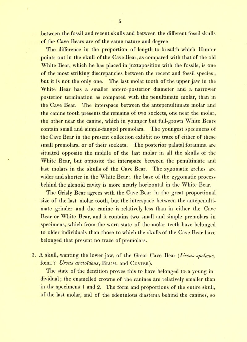 between the fossil and recent skulls and between the different fossil skulls of the Cave Bears are of the same nature and degree. The difference in the proportion of length to breadth which Hunter points out in the skull of the Cave Bear, as compared with that of the old White Bear, which he has placed in juxtaposition with the fossils, is one of the most striking discrepancies between the recent and fossil species ; but it is not the only one. The last molar tooth of the upper jaw in the White Bear has a smaller antero-posterior diameter and a narrower posterior termination as compared with the penultimate molar, than in the Cave Bear. The interspace between the antepenultimate molar and the canine tooth presents the remains of two sockets, one near the molar, the other near the canine, which in younger but full-grown White Bears contain small and simple-fanged premolars. The youngest specimens of the Cave Bear in the present collection exhibit no trace of either of these small premolars, or of their sockets. The posterior palatal foramina are situated opposite the middle of the last molar in all the skulls of the White Bear, but opposite the interspace between the penultimate and last molars in the skulls of the Cave Bear. The zygomatic arches are wider and shorter in the White Bear ; the base of the zygomatic process behind the glenoid cavity is more nearly horizontal in the White Bear. The Grisly Bear agrees with the Cave Bear in the great proportional size of the last molar tooth, but the interspace between the antepenulti- mate grinder and the canine is relatively less than in either the Cave Bear or White Bear, and it contains two small and simple premolars in specimens, which from the worn state of the molar teeth have belonged to older individuals than those to which the skulls of the Cave Bear have belonged that present no trace of premolars. 3. A skull, wanting the lower jaw, of the Great Cave Bear {Urs?is spelceus, foem. ? Ursus arcto'ideus, Blum, and Cuvirr). The state of the dentition proves this to have belonged to^a young in- dividual ; the enamelled crowns of the canines are relatively smaller than in the specimens 1 and 2. The form and proportions of the entire skull, of the last molar, and of the edentulous diastema behind the canines, so