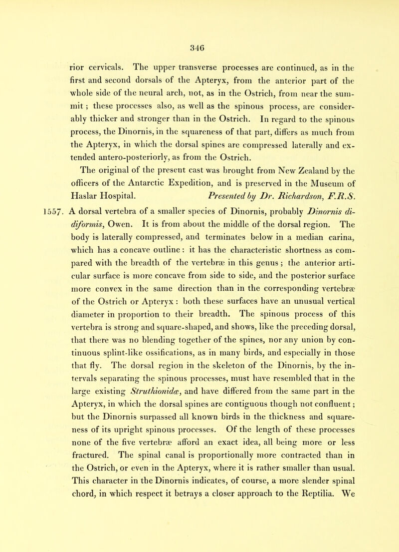 34G rior cervicals. The upper transverse processes are continued, as in the first and second dorsals of the Apteryx, from the anterior part of the whole side of the neural arch, not, as in the Ostrich, from near the sum- mit ; these processes also, as well as the spinous process, are consider- ably thicker and stronger than in the Ostrich. In regard to the spinous process, the Dinornis, in the squareness of that part, differs as much from the Apteryx, in which the dorsal spines are compressed laterally and ex- tended antero-posteriorly, as from the Ostrich. The original of the present cast was brought from New Zealand by the officers of the Antarctic Expedition, and is preserved in the Museum of Haslar Hospital. Presented by Dr. Richardson, F.R.S. 1557. A dorsal vertebra of a smaller species of Dinornis, probably Dinornis di- diformis^ Owen. It is from about the middle of the dorsal region. The body is laterally compressed, and terminates below in a median carina, which has a concave outline : it has the characteristic shortness as com- pared with the breadth of the vertebraj in this genus ; the anterior arti- cular surface is more concave from side to side, and the posterior surface more convex in the same direction than in the corresponding vertebrae of the Ostrich or Apteryx : both these surfaces have an unusual vertical diameter in proportion to their breadth. The spinous process of this vertebra is strong and square-shaped, and shows, like the preceding dorsal, that there was no blending together of the spines, nor any union by con- tinuous splint-like ossifications, as in many birds, and especially in those that fly. The dorsal region in the skeleton of the Dinornis, by the in- tervals separating the spinous processes, must have resembled that in the large existing Struthionid/e, and have differed from the same part in the Apteryx, in which the dorsal spines are contiguous though not confluent; but the Dinornis surpassed all known birds in the thickness and square- ness of its upright spinous processes. Of the length of these processes none of the five vertebrae afford an exact idea, all being more or less fractured. The spinal canal is proportionally more contracted than in the Ostrich, or even in the Apteryx, where it is rather smaller than usual. This character in the Dinornis indicates, of course, a more slender spinal chord, in which respect it betrays a closer approach to the Reptilia. We