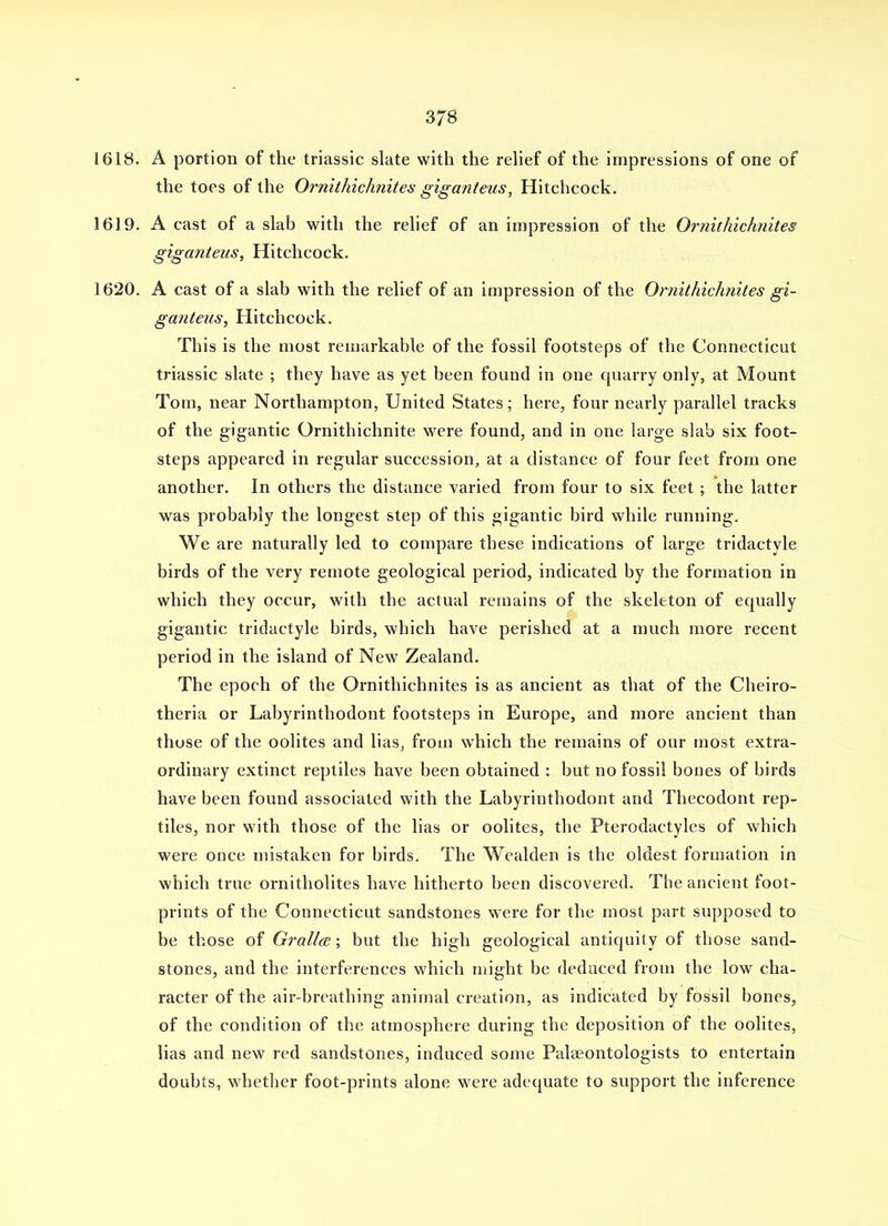 1618. A portion of the triassic slate with the relief of the impressions of one of the toes of the Ornithichnites g'lganteus, Hitchcock. 1619. A cast of a slab with the relief of an impression of the Ornithichnite& giganteus, Hitchcock. 1620. A cast of a slab with the relief of an impression of the Oimithichnites gi- ganteus, Hitchcock. This is the most remarkable of the fossil footsteps of the Connecticut triassic slate ; they have as yet been found in one quarry only, at Mount Tom, near Northampton, United States; here, four nearly parallel tracks of the gigantic Ornithichnite were found, and in one hxrge slab six foot- steps appeared in regular succession, at a distance of four feet from one another. In others the distance varied from four to six feet; the latter was probably the longest step of this gigantic bird while running. We are naturally led to compare these indications of large tridactyle birds of the very remote geological period, indicated by the formation in which they occur, with the actual remains of the skeleton of equally gigantic tridactyle birds, which have perished at a much more recent period in the island of New Zealand. The epoch of the Ornithichnites is as ancient as that of the Cheiro- theria or Labyrinthodont footsteps in Europe, and more ancient than those of the oolites and lias, from which the remains of our most extra- ordinary extinct reptiles have been obtained : but no fossil bones of birds have been found associated with the Labyrinthodont and Thecodont rep- tiles, nor with those of the lias or oolites, the Pterodactyles of which were once mistaken for birds. The Wealden is the oldest formation in which true ornitholites have hitherto been discovered. The ancient foot- prints of the Connecticut sandstones were for the most part supposed to be those of GrallcE; but the high geological antiquity of those sand- stones, and the interferences which might be deduced from the low cha- racter of the air-breathing animal creation, as indicated by fossil bones, of the condition of the atmosphere during the deposition of the oolites, lias and new red sandstones, induced some Palseontologists to entertain doubts, w^hether foot-prints alone were adequate to support the inference