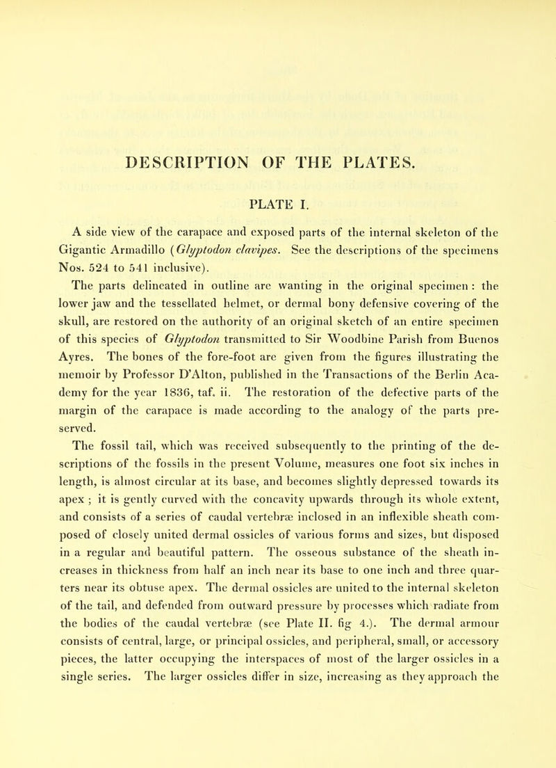 DESCRIPTION OF THE PLATES. PLATE I. A side view of the carapace and exposed parts of the internal skeleton of the Gigantic Armadillo {Glyptodo?i clavipes. See the descriptions of the specimens Nos. 524 to 541 inclusive). The parts delineated in outline are wanting in the original specimen : the lower jaw and the tessellated helmet, or dermal bony defensive covering of the skull, are restored on the authority of an original sketch of an entire specimen of this species of Glyptodon transmitted to Sir Woodbine Parish from Buenos Ayres. The bones of the fore-foot are given from the figures illustrating the memoir by Professor D'Alton, published in the Transactions of the Berlin Aca- demy for the year 1836, taf. ii. The restoration of the defective parts of the margin of the carapace is made according to the analogy of the parts pre- served. The fossil tail, which was received subsetjuently to the printing of the de- scriptions of the fossils in the present Volume, measures one foot six inches in length, is almost circular at its base, and becomes slightly depressed towards its apex ; it is gently curved with the concavity upwards through its whole extent, and consists of a series of caudal vertebrae inclosed in an inflexible sheath com- posed of closely united dermal ossicles of various forms and sizes, but disposed in a regular and beautiful pattern. The osseous substance of the sheath in- creases in thickness from half an inch near its base to one inch and three quar- ters near its obtuse apex. The dermal ossicles are united to the internal skeleton of the tail, and defended from outward pressure by processes which radiate from the bodies of the caudal vertebrae (see Plate II. fig 4.). The dermal armour consists of central, large, or principal ossicles, and peripheral, small, or accessory pieces, the latter occupying the interspaces of most of the larger ossicles in a single series. The larger ossicles differ in size, increasing as they approach the