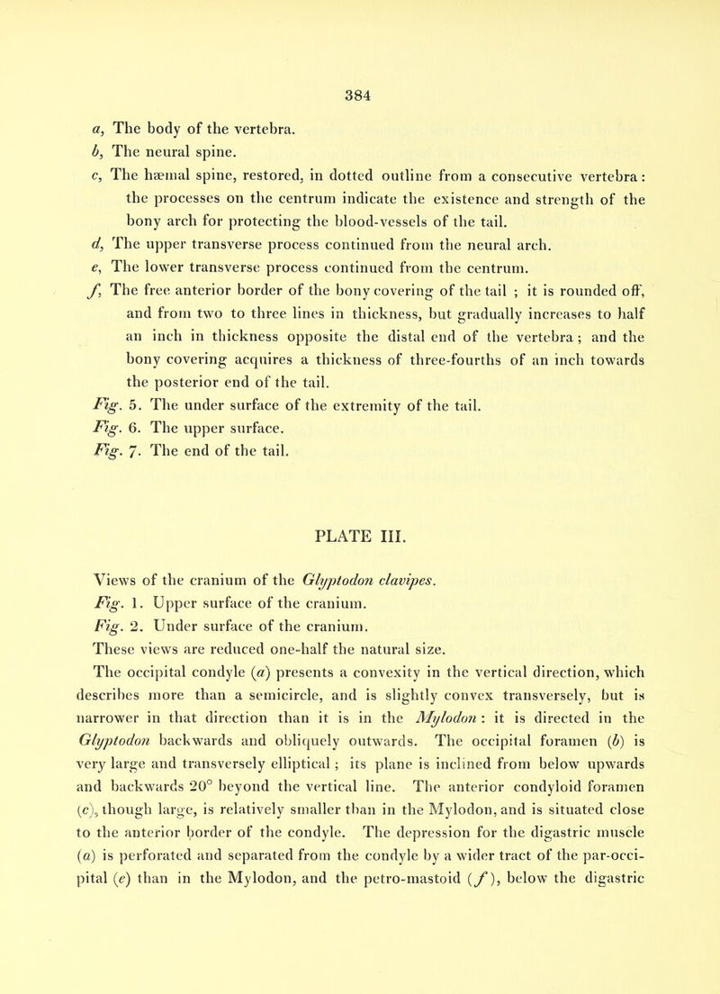 a, The body of the vertebra. b, The neural spine. c, The haemal spine, restored, in dotted outline from a consecutive vertebra: the processes on the centrum indicate the existence and strength of the bony arch for protecting the blood-vessels of the tail. d, The upper transverse process continued from the neural arch. e, The lower transverse process continued from the centrum. y, The free anterior border of the bony covering of the tail ; it is rounded off, and from two to three lines in thickness, but gradually increases to half an inch in thickness opposite the distal end of the vertebra; and the bony covering acquires a thickness of three-fourths of an inch towards the posterior end of the tail. J^ig. 5. The under surface of the extremity of the tail. J^ig. 6. The upper surface. Fig. 7- The end of the tail. PLATE III. Views of the cranium of the Glyptodon clavipes. Fig. 1. Upper surface of the cranium. Fig. 2. Under surface of the cranium. These views are reduced one-half the natural size. The occipital condyle (a) presents a convexity in the vertical direction, which describes more than a semicircle, and is slightly convex transversely, but is narrower in that direction than it is in the Mylodo7i: it is directed in the Glyptodon backwards and obliquely outwards. The occipital foramen {b) is very large and transversely elliptical; its plane is inclined from below upwards and backwards 20° beyond the vertical line. The anterior condyloid foramen (c); though large, is relatively smaller tl)an in the Mylodon, and is situated close to the anterior border of the condyle. The depression for the digastric muscle (ft) is perforated and separated from the condyle by a wider tract of the par-occi- pital (e) than in the Mylodon, and the petro-mastoid {J'), below the digastric