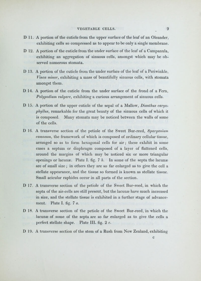 D 11. A portion of the cuticle from the upper surface of the leaf of an Oleander, exhibiting cells so compressed as to appear to be only a single membrane. D 12. A portion of the cuticle from the under surface of the leaf of a Campanula, exhibiting an aggregation of sinuous cells, amongst which may be ob- served numerous stomata. D 13. A portion of the cuticle from the under surface of the leaf of a Periwinkle, Vinca minor, exhibiting a mass of beautifully sinuous cells, with stomata amongst them. D 14. A portion of the cuticle from the under surface of the frond of a Fern, Polypodium vulgare, exhibiting a curious arrangement of sinuous cells. D 15. A portion of the upper cuticle of the sepal of a Mallow, Dianthus caryo- phyllus, remarkable for the great beauty of the sinuous cells of which it is composed. Many stomata may be noticed between the walls of some of the cells. D 16. A transverse section of the petiole of the Sweet Bur-reed, Sparganium ramosum, the framework of which is composed of ordinary cellular tissue, arranged so as to form hexagonal cells for air; these exhibit in some cases a septum or diaphragm composed of a layer of flattened cells, around the margins of which may be noticed six or more triangular openings or lacunae. Plate I. fig. 7 b. In some of the septa the lacunae are of small size; in others they are so far enlarged as to give the cell a stellate appearance, and the tissue so formed is known as stellate tissue. Small acicular raphides occur in all parts of the section. D 17. A transverse section of the petiole of the Sweet Bur-reed, in which the septa of the air-cells are still present, but the lacunae have much increased in size, and the stellate tissue is exhibited in a further stage of advance- ment. Plate I. fig. 7 a. D 18. A transverse section of the petiole of the Sweet Bur-reed, in which the lacunae of some of the septa are so far enlarged as to give the cells a perfect stellate shape. Plate III. fig. 2 c. D 19. A transverse section of the stem of a Rush from New Zealand, exhibiting c