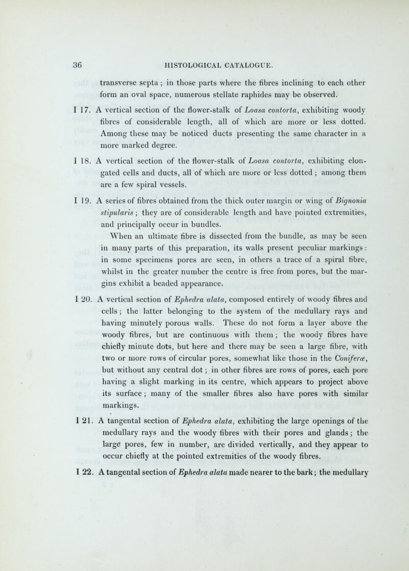 transverse septa; in those parts where the fibres inchning to each other form an oval space, numerous stellate raphides may be observed. I 17. A vertical section of the flower-stalk of Loasa contorta, exhibiting woody fibres of considerable length, all of which are more or less dotted. Among these may be noticed ducts presenting the same character in a more marked degree. I 18. A vertical section of the flower-stalk oi Loasa contorta, exhibiting elon- gated cells and ducts, all of which are more or less dotted ; among them are a few spiral vessels. I 19. A series of fibres obtained from the thick outer margin or wing of Bignoniu stipularis ; they are of considerable length and have pointed extremities, and principally occur in bundles. When an ultimate fibre is dissected from the bundle, as may be seen in many parts of this preparation, its walls present peculiar markings: in some specimens pores are seen, in others a trace of a spiral fibre, whilst in the greater number the centre is free from pores, but the mar- gins exhibit a beaded appearance. I 20. A vertical section of Ephedra alata, composed entirely of woody fibres and cells ; the latter belonging to the system of the medullary rays and having minutely porous walls. These do not form a layer above the woody fibres, but are continuous with them; the woody fibres have chiefly minute dots, but here and there may be seen a large fibre, with two or more rows of circular pores, somewhat like those in the Coniferce, but without any central dot; in other fibres are rows of pores, each pore having a slight marking in its centre, which appears to project above its surface ; many of the smaller fibres also have pores with similar markings. I 21. A tangental section of Ephedra alata, exhibiting the large openings of the medullary rays and the woody fibres with their pores and glands; the large pores, few in number, are divided vertically, and they appear to occur chiefly at the pointed extremities of the woody fibres. I 22, A tangental section of Ephedra alata made nearer to the bark; the medullary