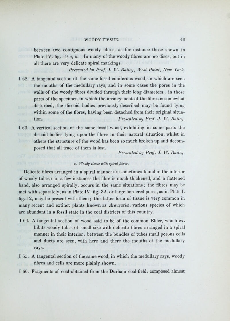 between two contiguous woody fibres, as for instance those shown in Plate IV. fig. 19 a, 6. In many of the woody fibres are no discs, but in all there are very delicate spiral markings. Presented by Prof. J. W. Bailey, West Point, New York. I 62. A tangental section of the same fossil coniferous wood, in which are seen the mouths of the medullary rays, and in some cases the pores in the walls of the woody fibres divided through their long diameters; in those parts of the specimen in which the arrangement of the fibres is somewhat disturbed, the discoid bodies previously described may be found lying within some of the fibres, having been detached from their original situa- tion. Presented by Prof. J. W. Bailey. I 63. A vertical section of the same fossil wood, exhibiting in some parts the discoid bodies lying upon the fibres in their natural situation, whilst in others the structure of the wood has been so much broken up and decom- posed that all trace of them is lost. Presented by Prof. J. W. Bailey. e. Woody tissue with spiral fibres. Delicate fibres arranged in a spiral manner are sometimes found in the interior of woody tubes : in a few instances the fibre is much thickened, and a flattened band, also arranged spirally, occurs in the same situations; the fibres may be met with separately, as in Plate IV. fig. 32, or large bordered pores, as in Plate I. fig. 12, may be present with them ; this latter form of tissue is very common in many recent and extinct plants known as AraucarioB, various species of which are abundant in a fossil state in the coal districts of this country. I 64. A tangental section of wood said to be of the common Elder, which ex- hibits woody tubes of small size with delicate fibres arranged in a spiral manner in their interior: between the bundles of tubes small porous cells and ducts are seen, with here and there the mouths of the medullary rays. I 65. A tangental section of the same wood, in which the medullary rays, woody fibres and cells are more plainly shown. I 66. Fragments of coal obtained from the Durham coal-field, composed almost