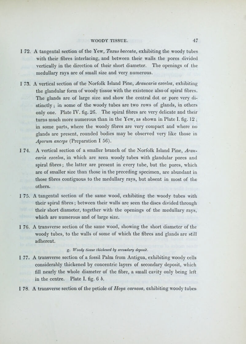 I 72. A tangental section of the Yew, Taxus haccata, exhibiting the woody tubes with their fibres interlacing, and between their walls the pores divided vertically in the direction of their short diameter. The openings of the medullary rays are of small size and very numerous. I 73. A vertical section of the Norfolk Island Pine, Araucaria excelsa, exhibiting the glandular form of woody tissue with the existence also of spiral fibres. The glands are of large size and show the central dot or pore very di- stinctly ; in some of the woody tubes are two rows of glands, in others only one. Plate IV. fig. 26. The spiral fibres are very delicate and their turns much more numerous than in the Yew, as shown in Plate I. fig. 12 ; in some parts, where the woody fibres are very compact and where no glands are present, rounded bodies may be observed very like those in Aporum anceps (Preparation I 56). I 74. A vertical section of a smaller branch of the Norfolk Island Pine, Arau- caria excelsa, in which are seen woody tubes with glandular pores and spiral fibres; the latter are present in every tube, but the pores, which are of smaller size than those in the preceding specimen, are abundant in those fibres contiguous to the medullary rays, but absent in most of the others. I 75. A tangental section of the same wood, exhibiting the woody tubes with their spiral fibres ; between their walls are seen the discs divided through their short diameter, together with the openings of the medullary rays, which are numerous and of large size. I 76. A transverse section of the same wood, showing the short diameter of the woody tubes, to the walls of some of which the fibres and glands are still adherent. g. Woody tissue thickened by secondary deposit. I 77. A transverse section of a fossil Palm from Antigua, exhibiting woody cells considerably thickened by concentric layers of secondary deposit, which fill nearly the whole diameter of the fibre, a small cavity only being left in the centre. Plate I. fig. 6 h. I 78. A transverse section of the petiole of Hoya carnosa. exhibiting woody tubes